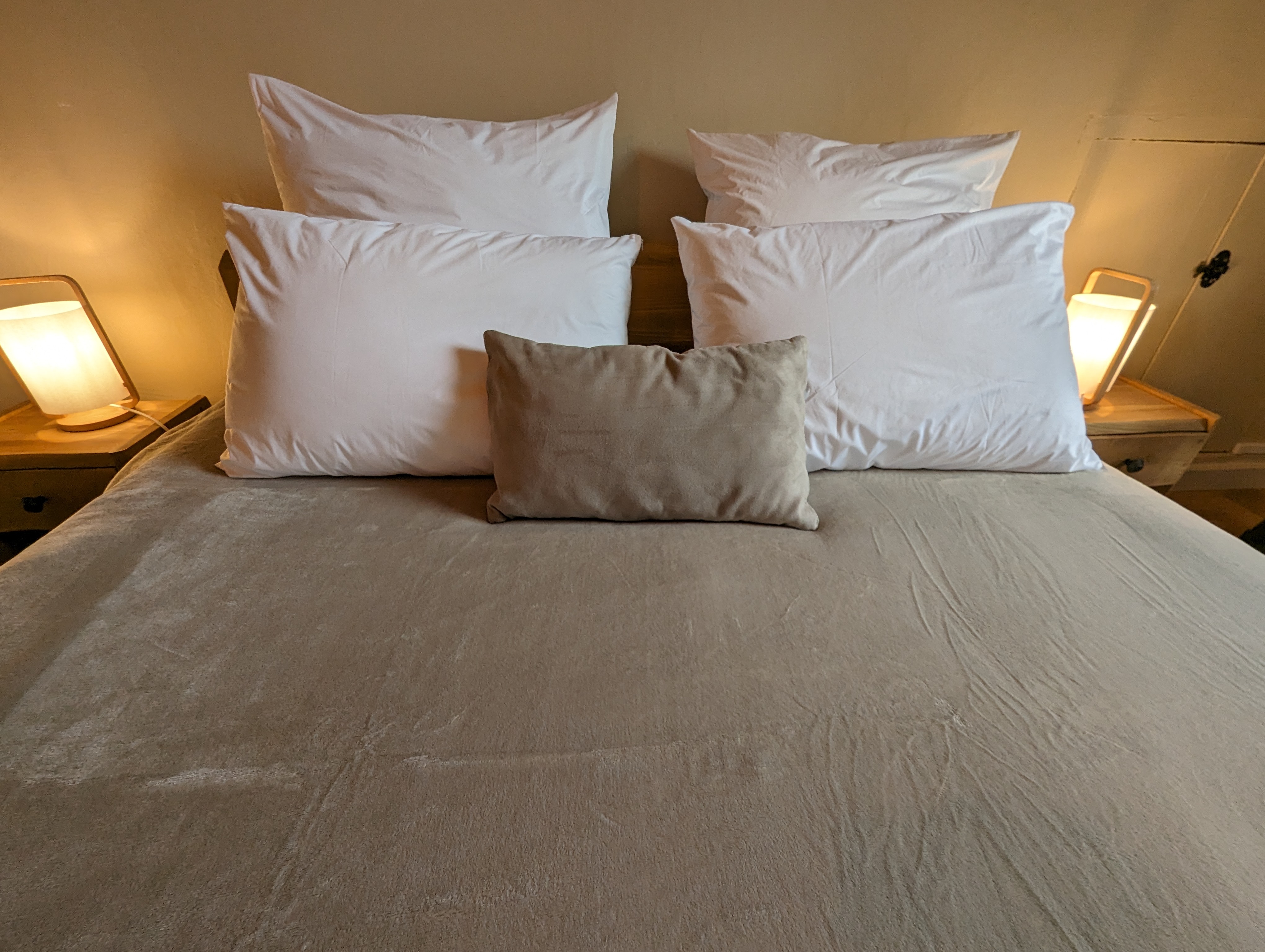Chambre "Rêve de Markhor" — Chambre à thème avec spa à Puy-de-Dôme à Clermont-Ferrand — espace de vie