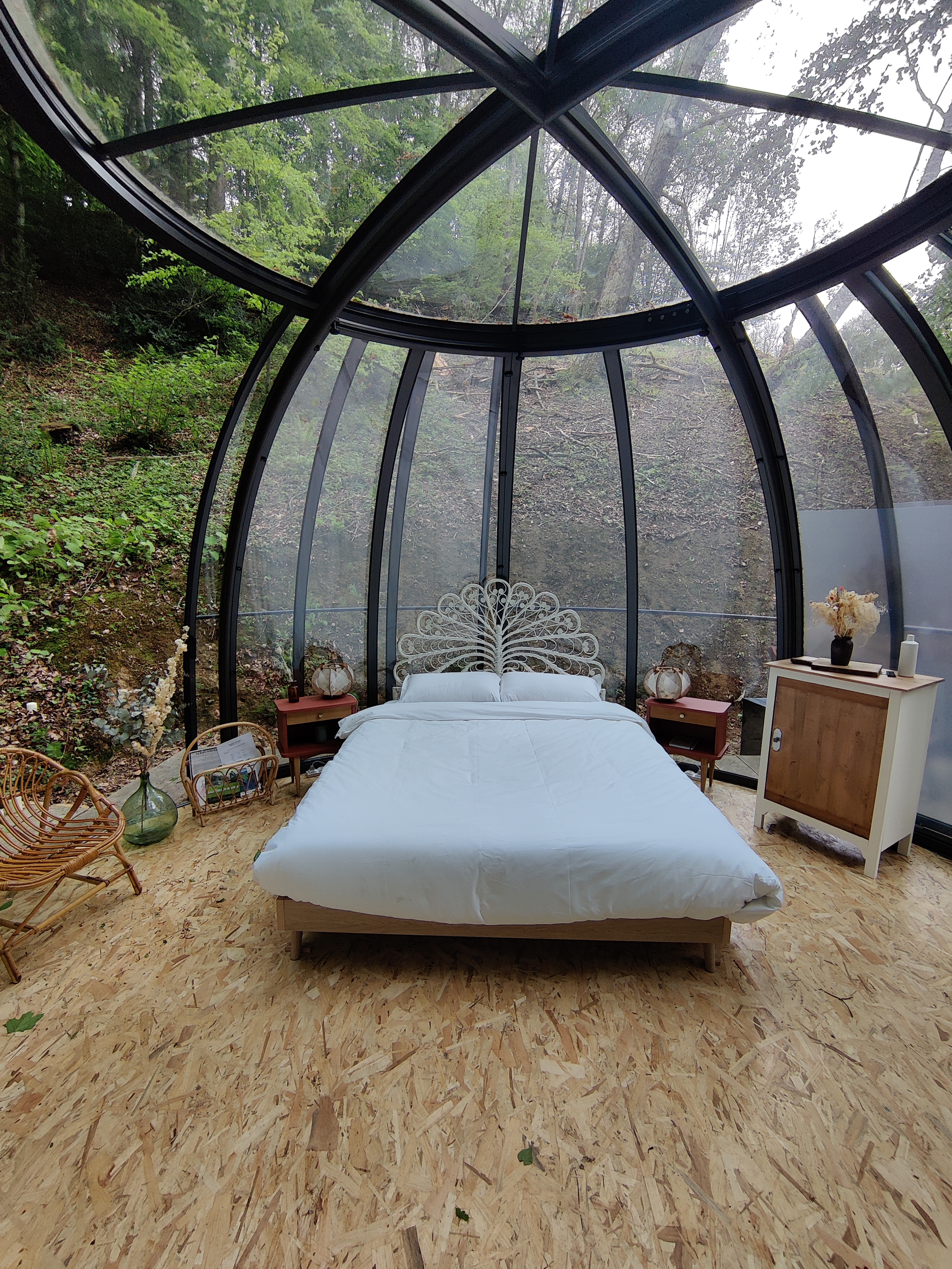 Le Dôme Transparent & son spa : une évasion sensorielle en Midi-Pyrénées à Gerde — environnement naturel