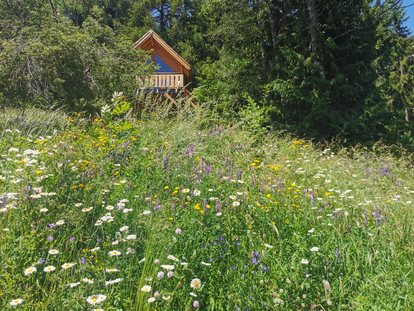 Cabane "Les terres blanches" — Cabane sur pilotis avec vue panoramique à Alpes-de-Haute-Provence