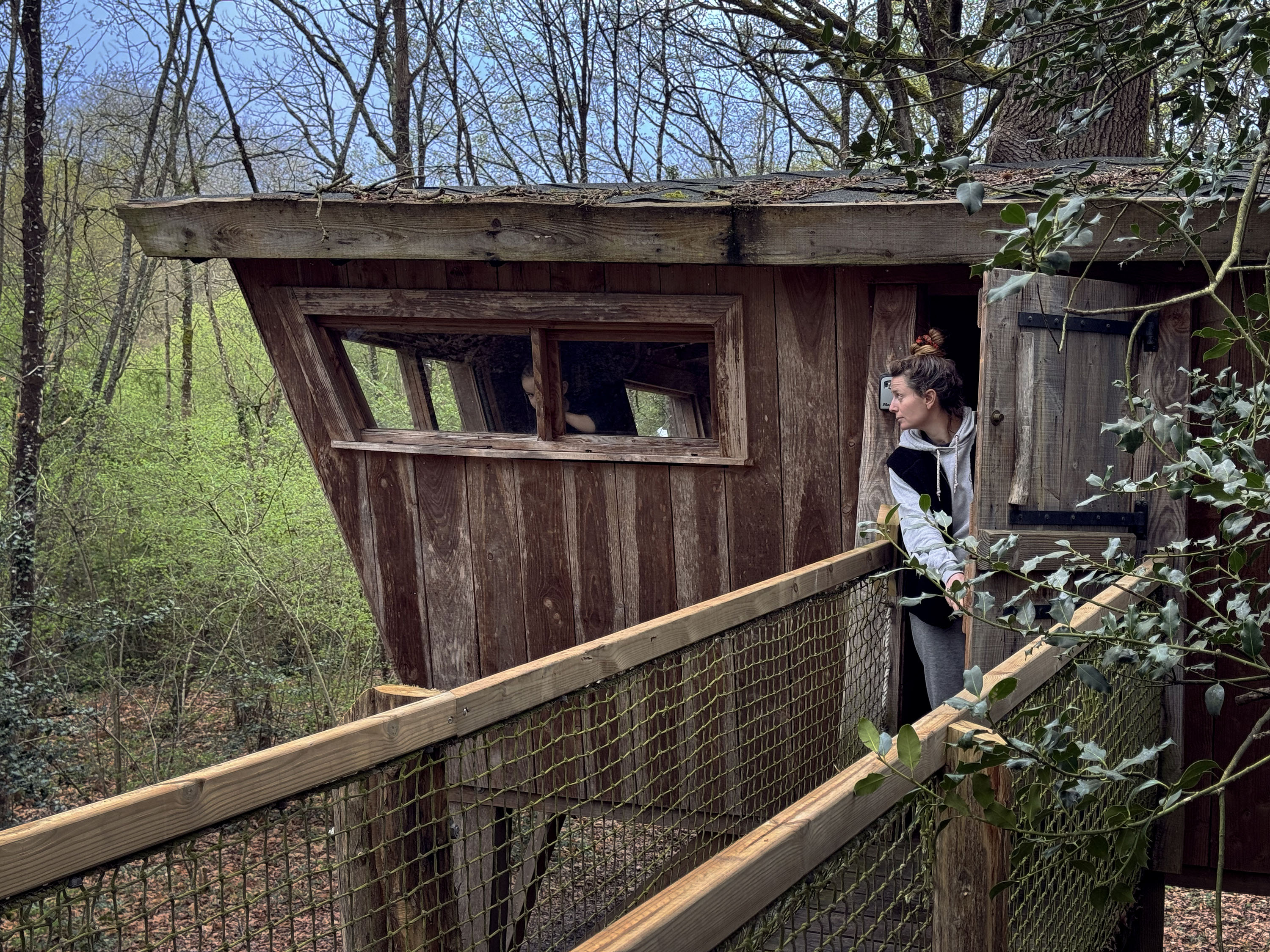 Cabane Mésange — Cabane sur pilotis à 8m en Mayenne à L'Orbière — cuisine
