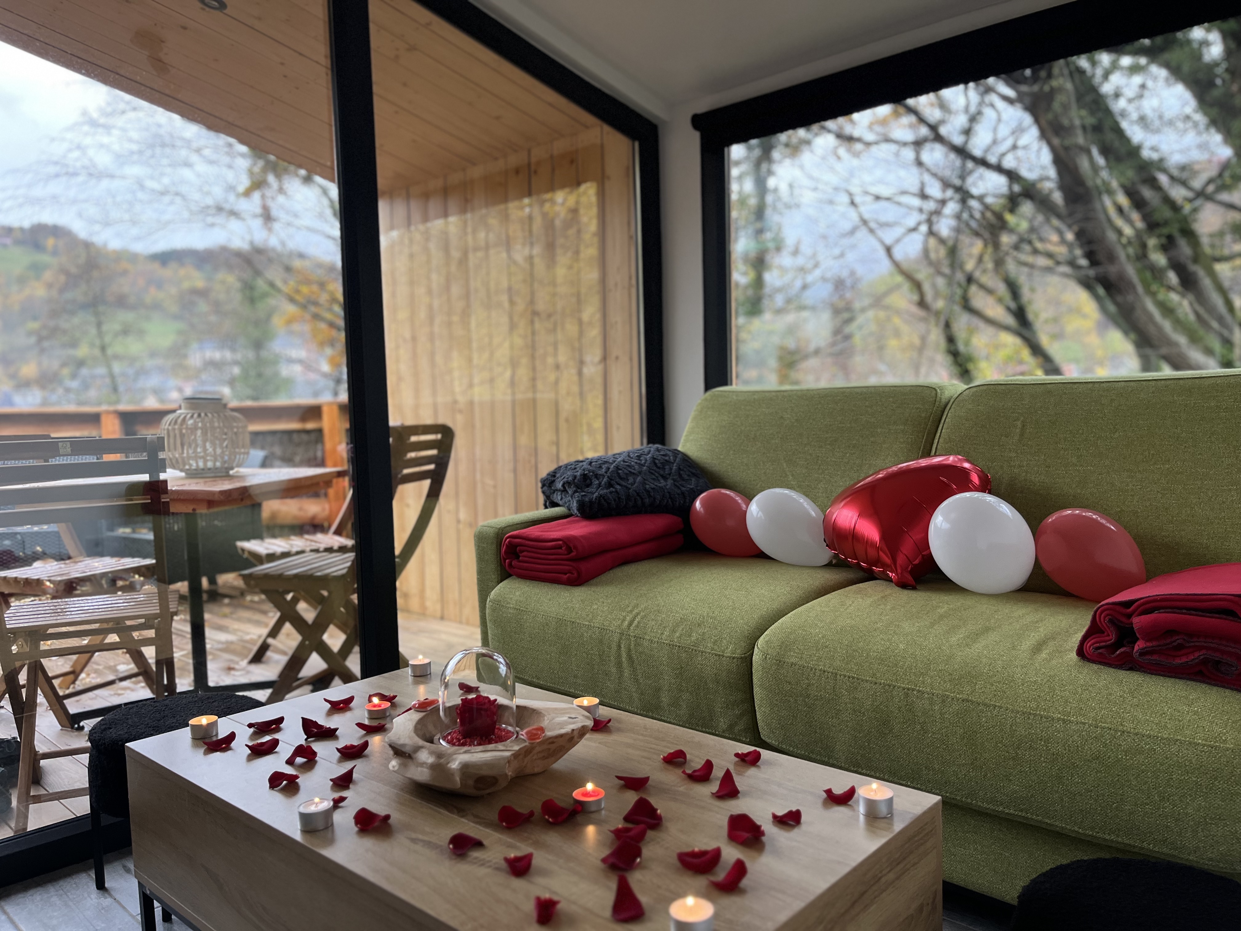 La Maison Cassiopée : une cabane avec bain nordique en Alsace à Orbey — vue depuis la terrasse