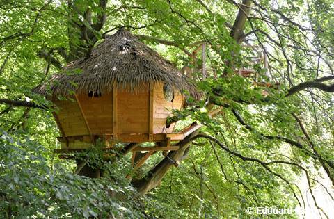 Cabane Grand Hêtre : une évasion perchée en Haute-Normandie à St Germain Des Essourts — vue intérieure