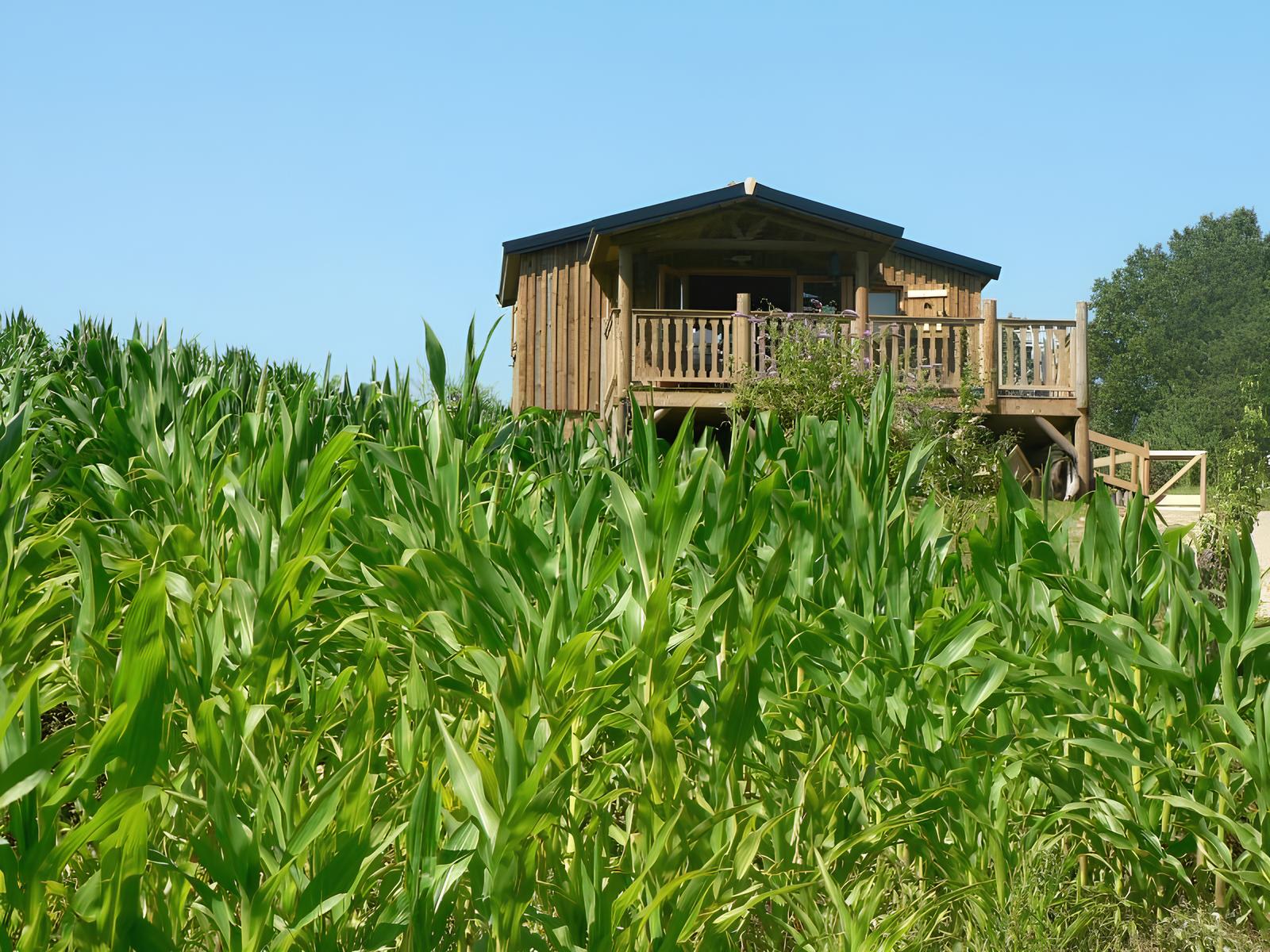 La Cabane du Trappeur : une expérience unique sur pilotis en Picardie — Cabane à Cessières-Suzy