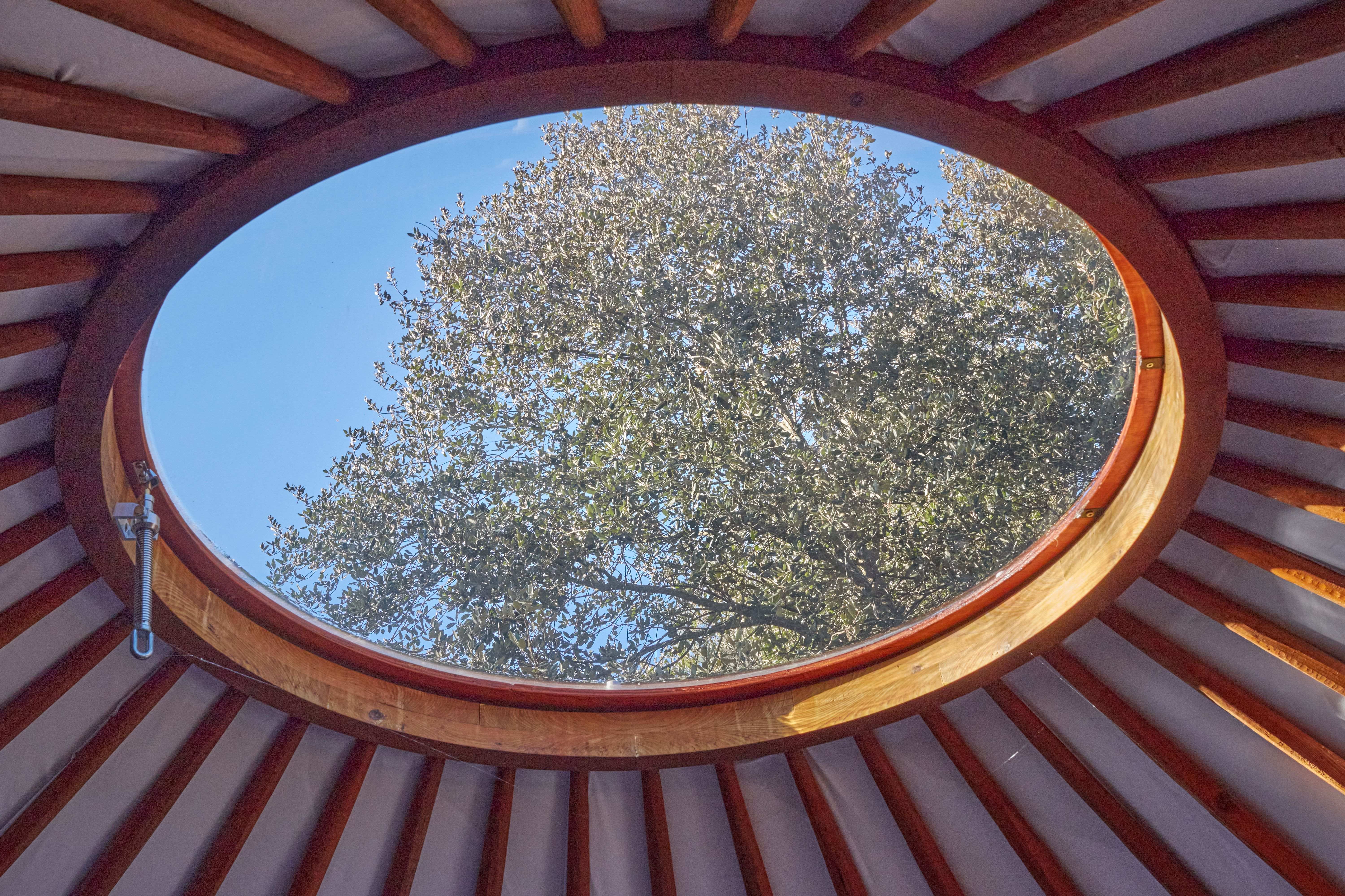 La Yourte en Provence : une immersion au cœur de la nature à Saint-Maximin-La-Sainte-Baume — vue intérieure
