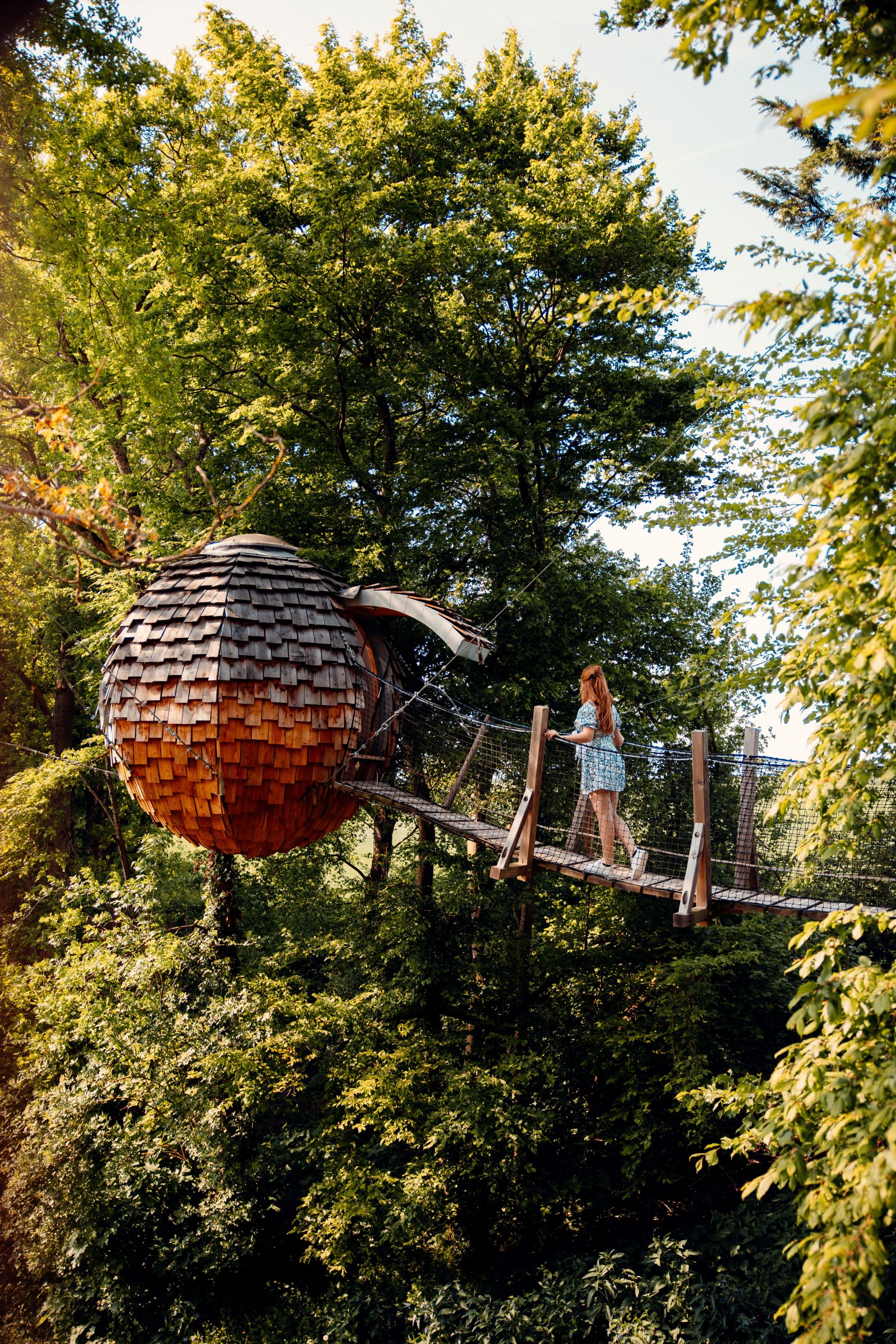 Cabane Spa Cocoon Étoilé : une évasion sensorielle en Picardie à Rosoy-En-Multien — cuisine