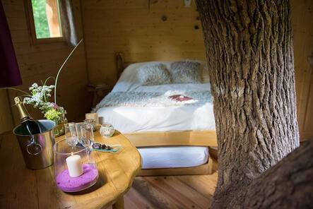 Brin de Folie : une cabane perchée au cœur de l'Aquitaine à Coulx — vue depuis la terrasse
