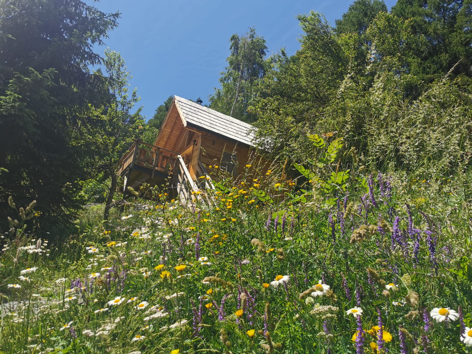 Cabane Le Jas du chamois : une échappée belle sur pilotis