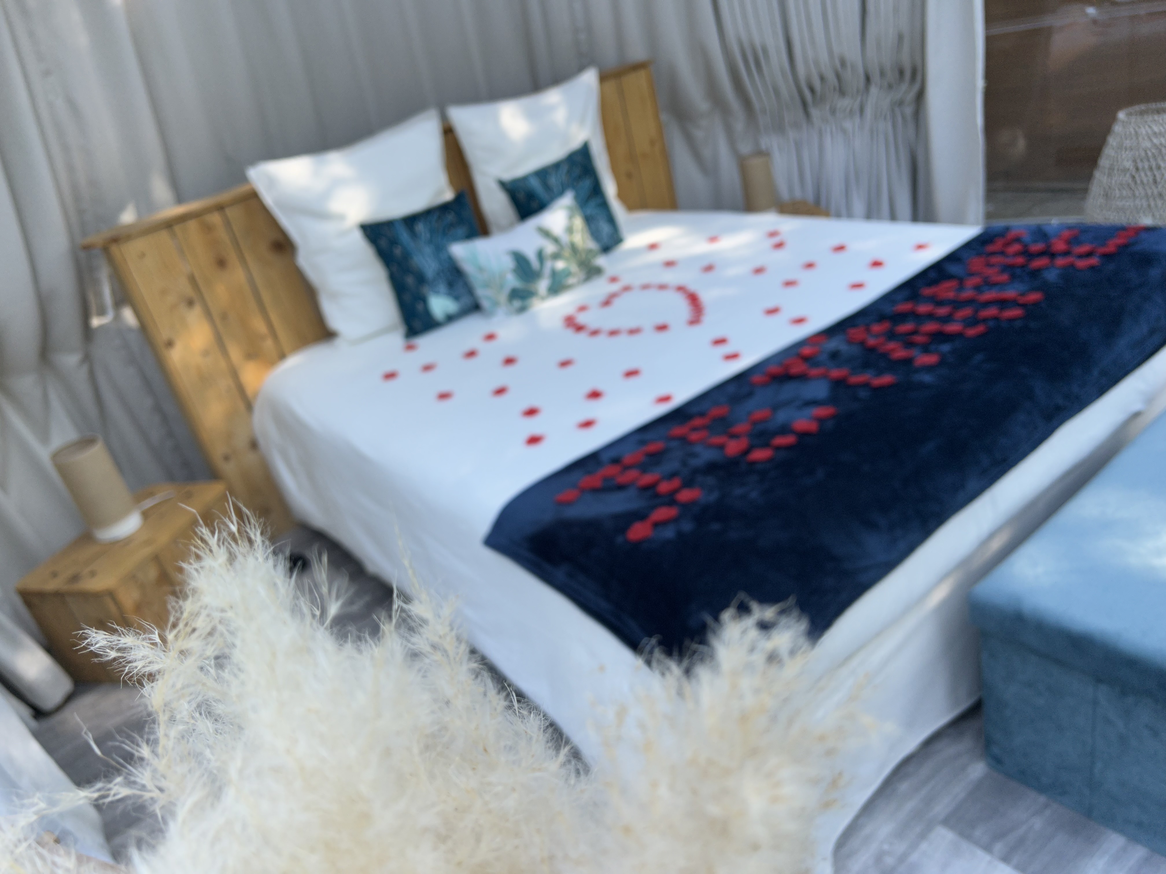 Bulle DODO LODGE - 2