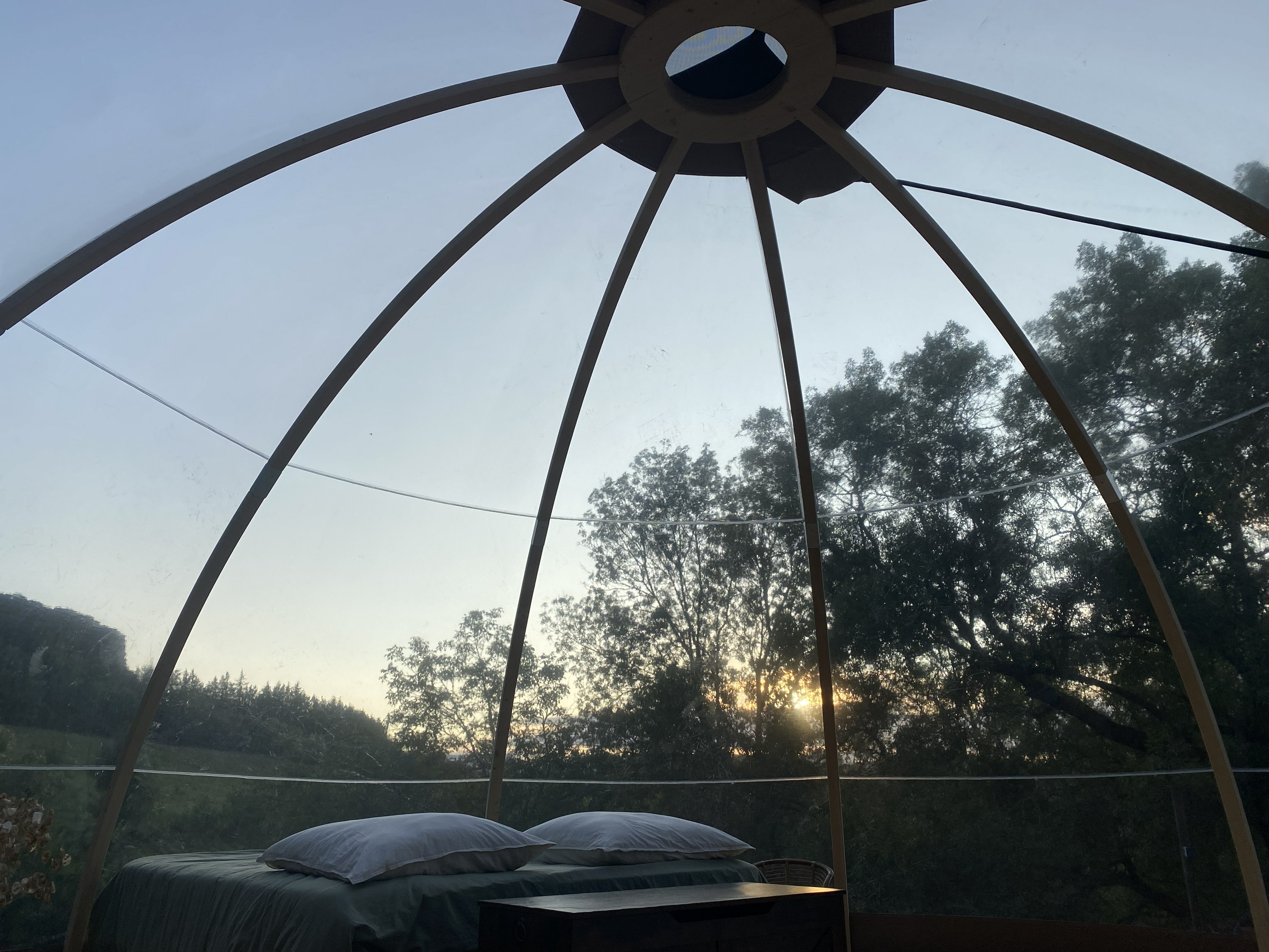 Bulle des Frênes — Nuit suspendue au-dessus d'un ruisseau en Hérault à Lodève — espace de vie