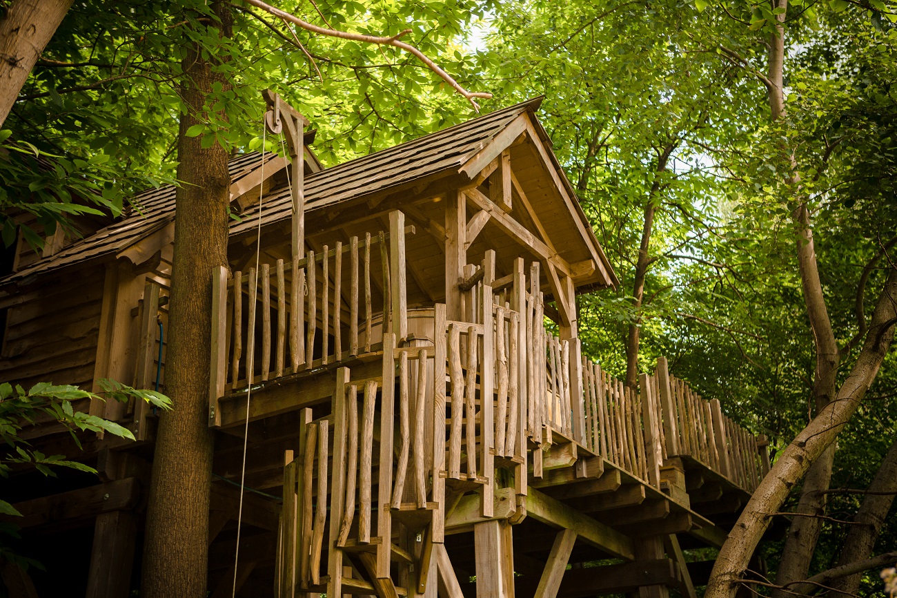 Cabane Spa Étoilée : une expérience unique dans les arbres à Raray — vue intérieure