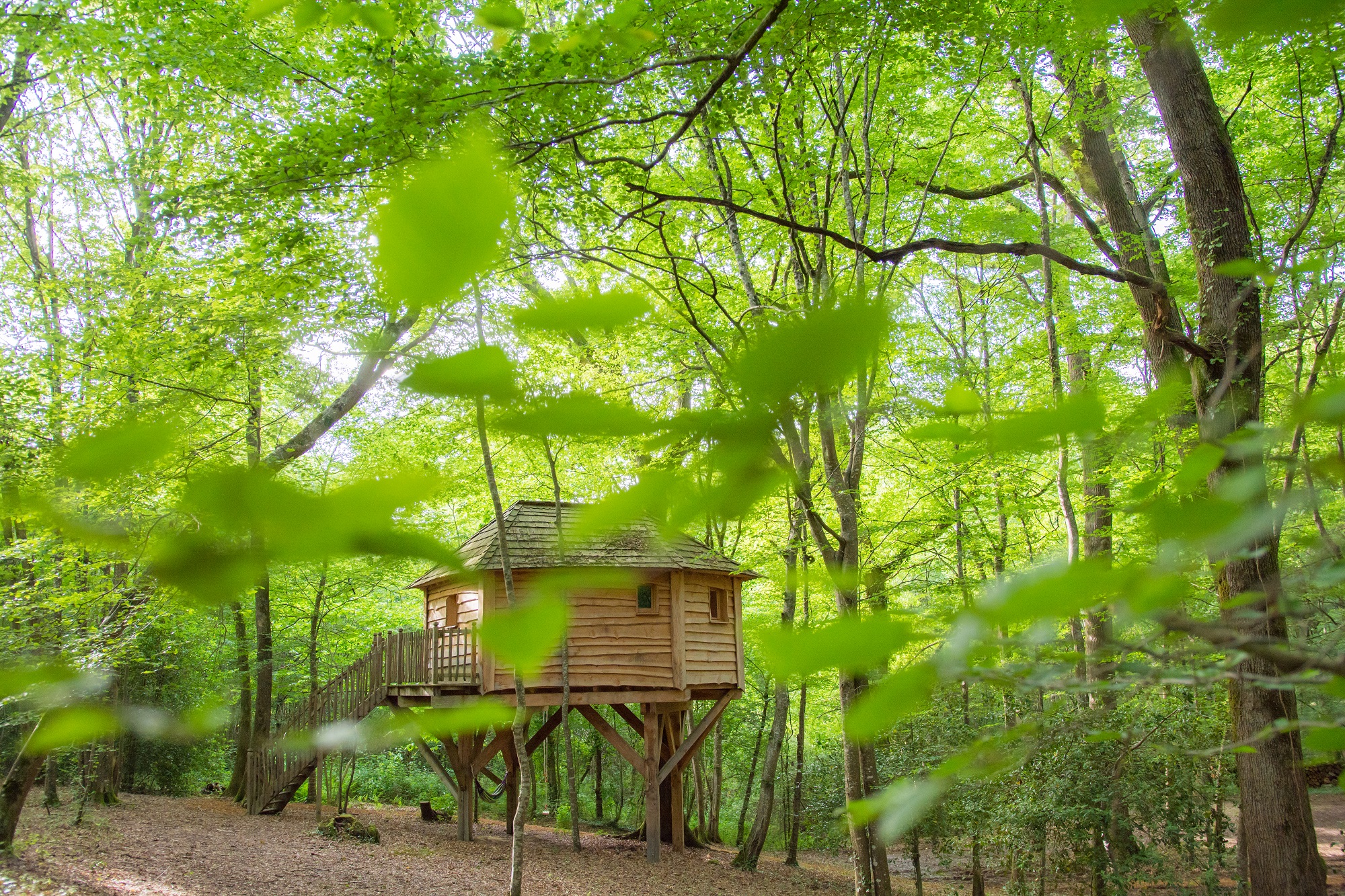 La Folie des Grandeurs : une cabane dans les arbres en Aquitaine