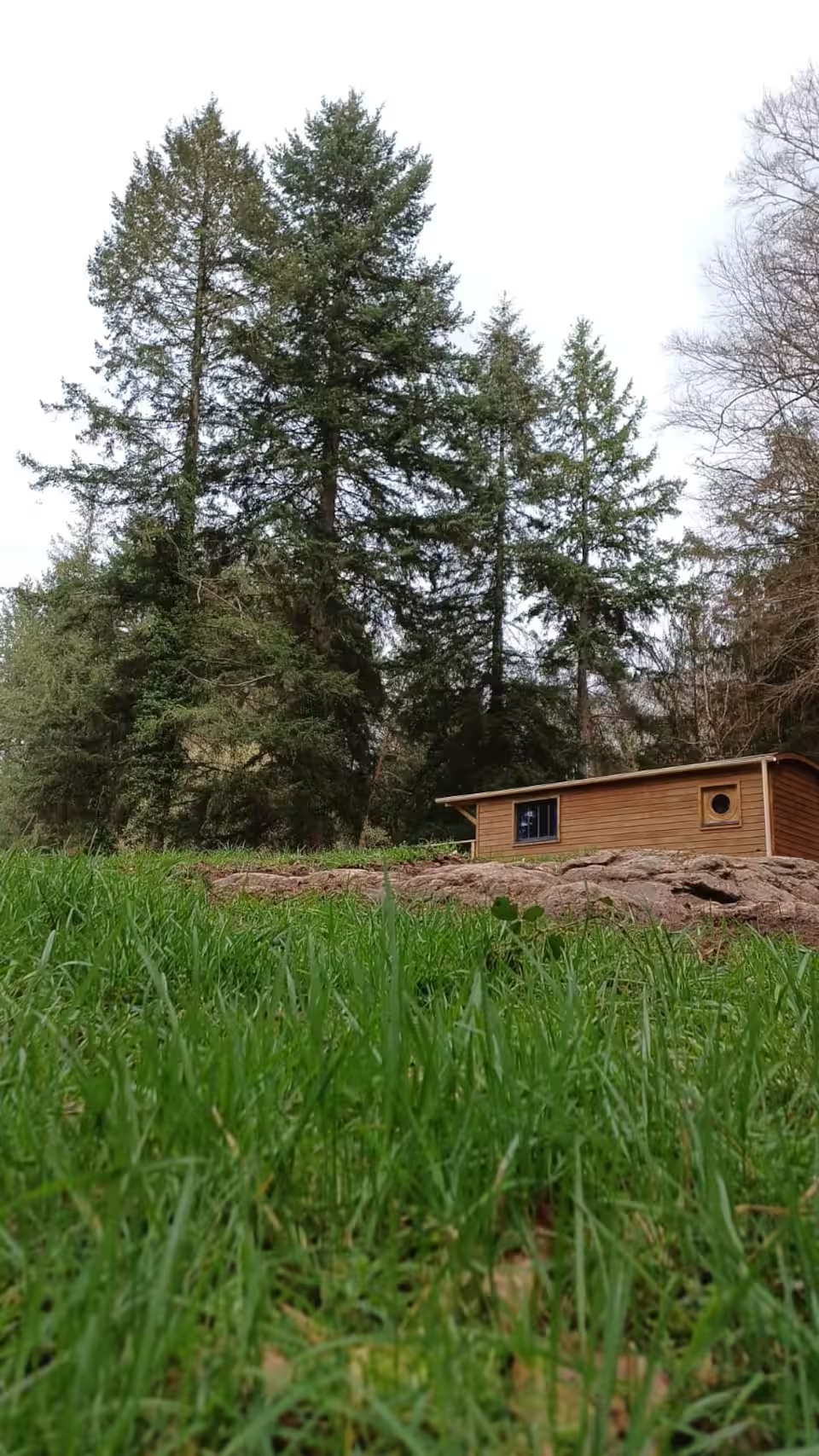 Roulotte des Hêtres — Séjour cosy avec spa à Saint-Pardoux en Haute-Vienne à Saint-Pardoux — vue depuis la terrasse