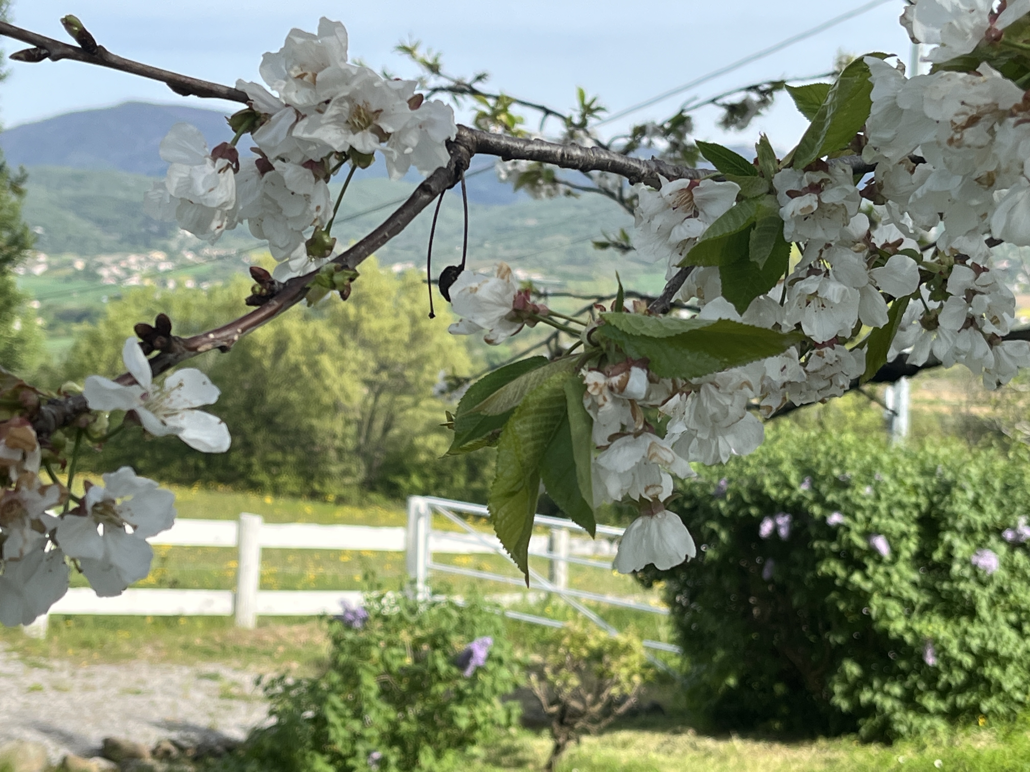 La Pendola — Tente suspendue avec spa à Ardèche à Le Teil — cuisine