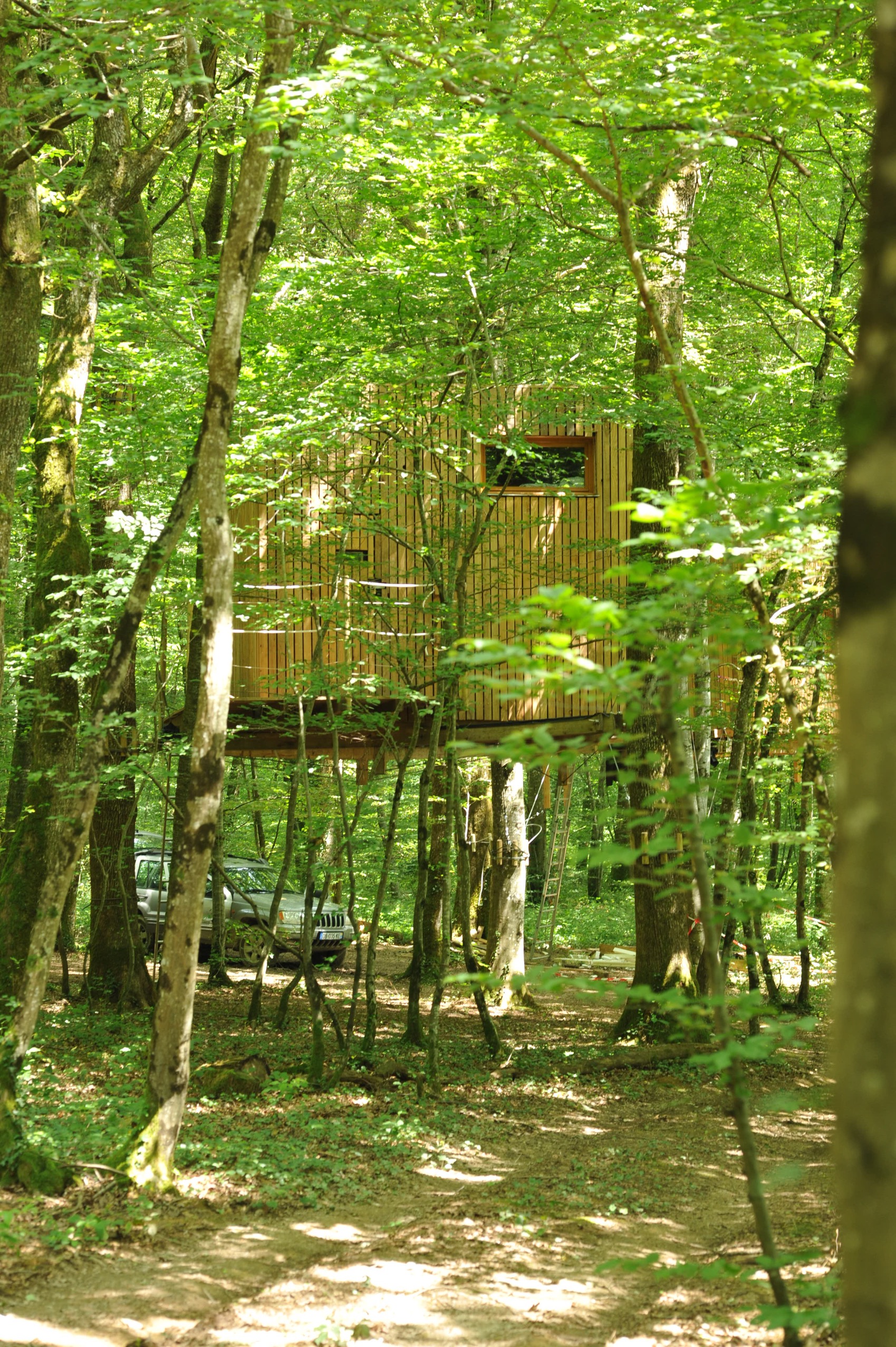 Cabane Ecureuil : une expérience suspendue dans les arbres à Mont Sous Vaudrey — cuisine