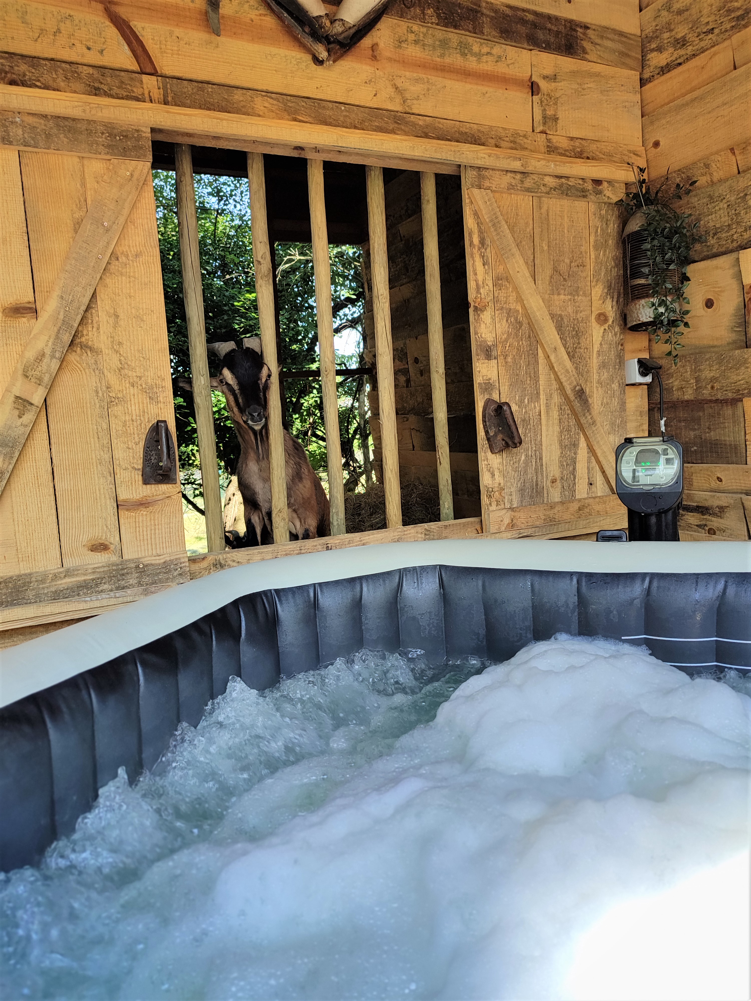 Le Campement Sous les Pins : une expérience immersive en pleine nature à Saulce-Sur-Rhône — salle de bain