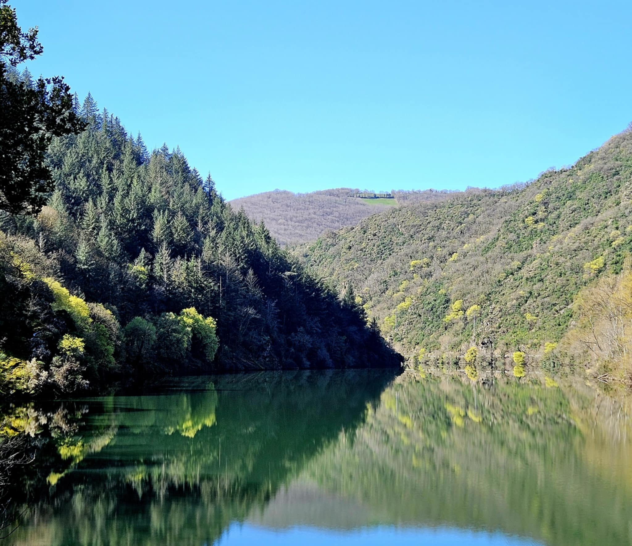 Dôme perché sur pilotis — Dôme avec spa à Aveyron à Baraqueville — environnement naturel