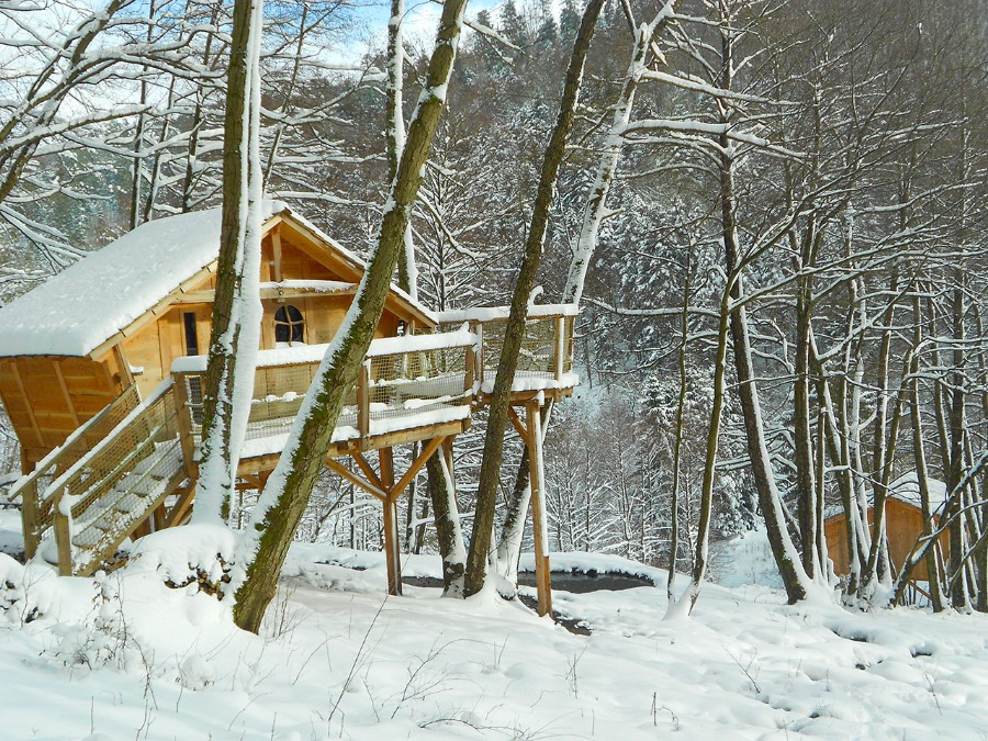 Cabane l'Appel de la Forêt : une expérience unique en Alsace à Grandfontaine — cuisine