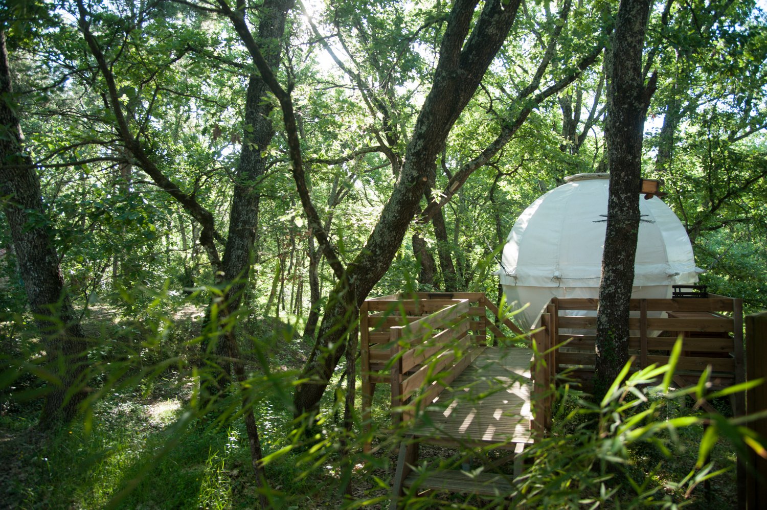 Nid'Aile Nid'Isle : un lodge enchanteur en pleine nature à Barjac — détail architectural