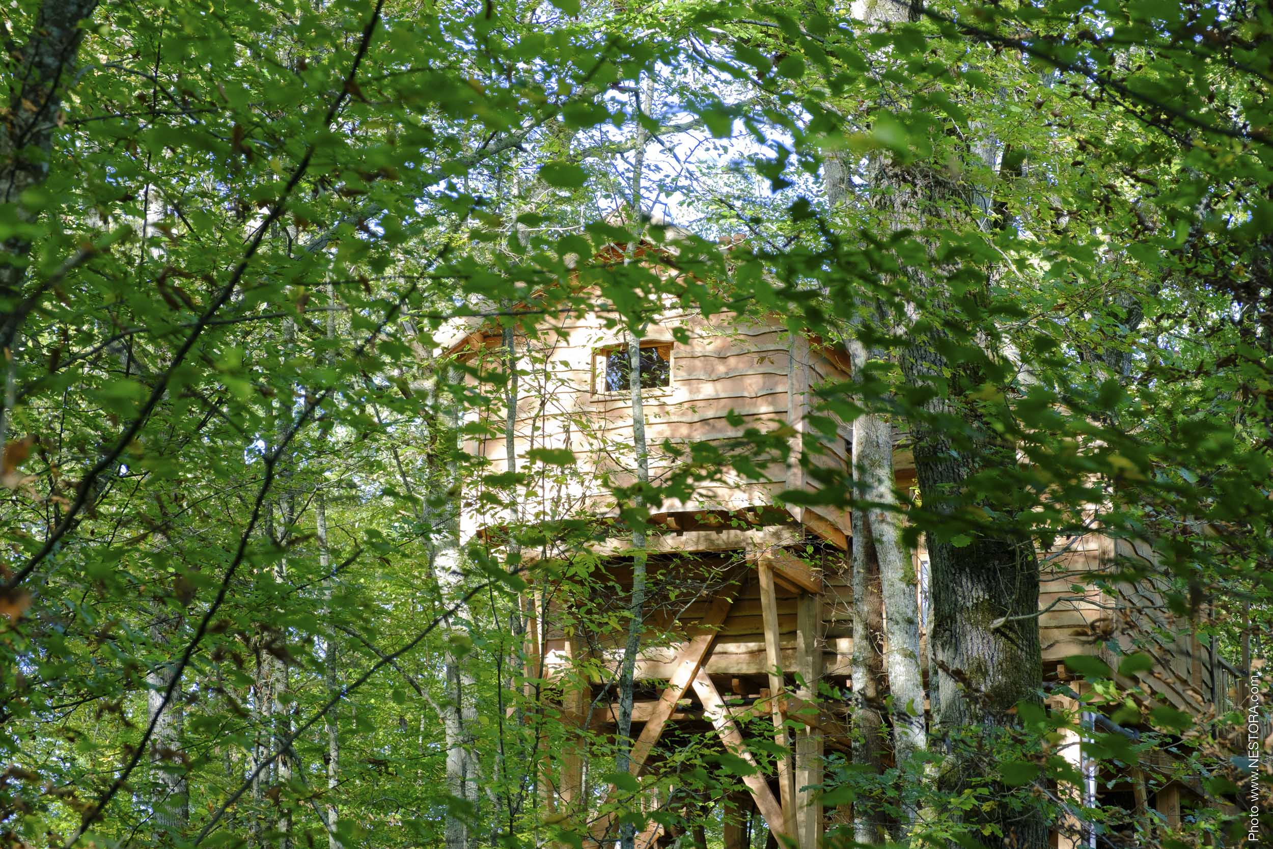 La Cabane du Grand Chêne & Spa : une évasion dans les arbres à La Bussière — cuisine