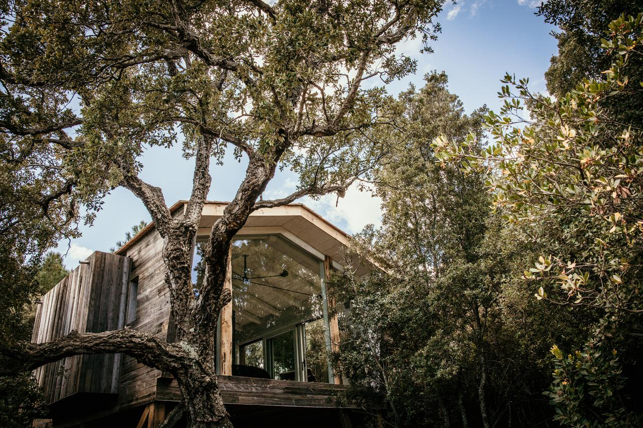 Orion, Cabane Casanghjulina — Cabane dans les arbres avec spa en Corse