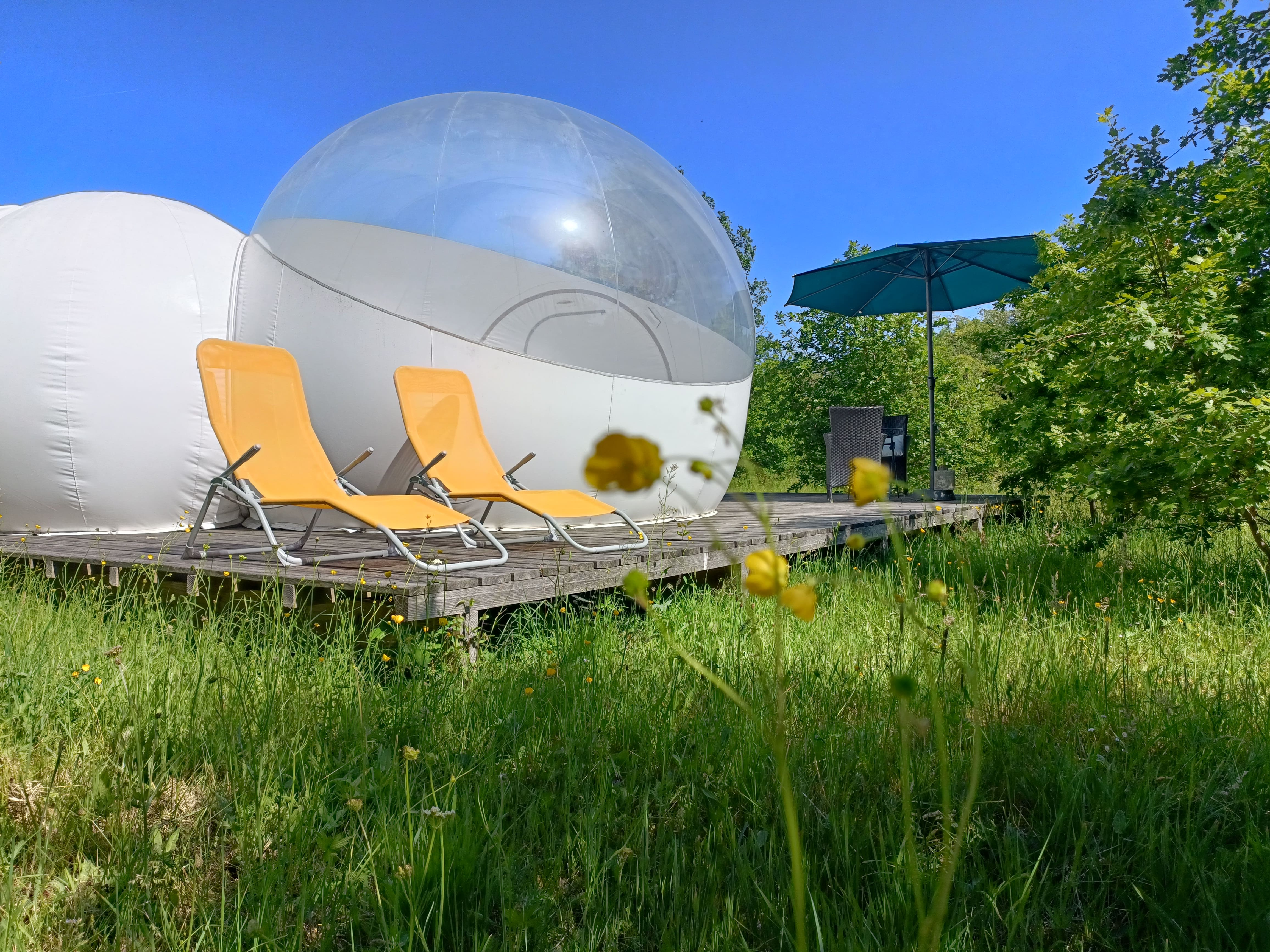 Reine des Prés - Pré en Bulles