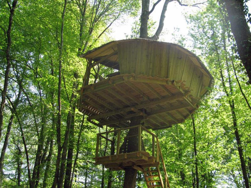 Évasion dans la Cabane de la Belle : un refuge dans les arbres
