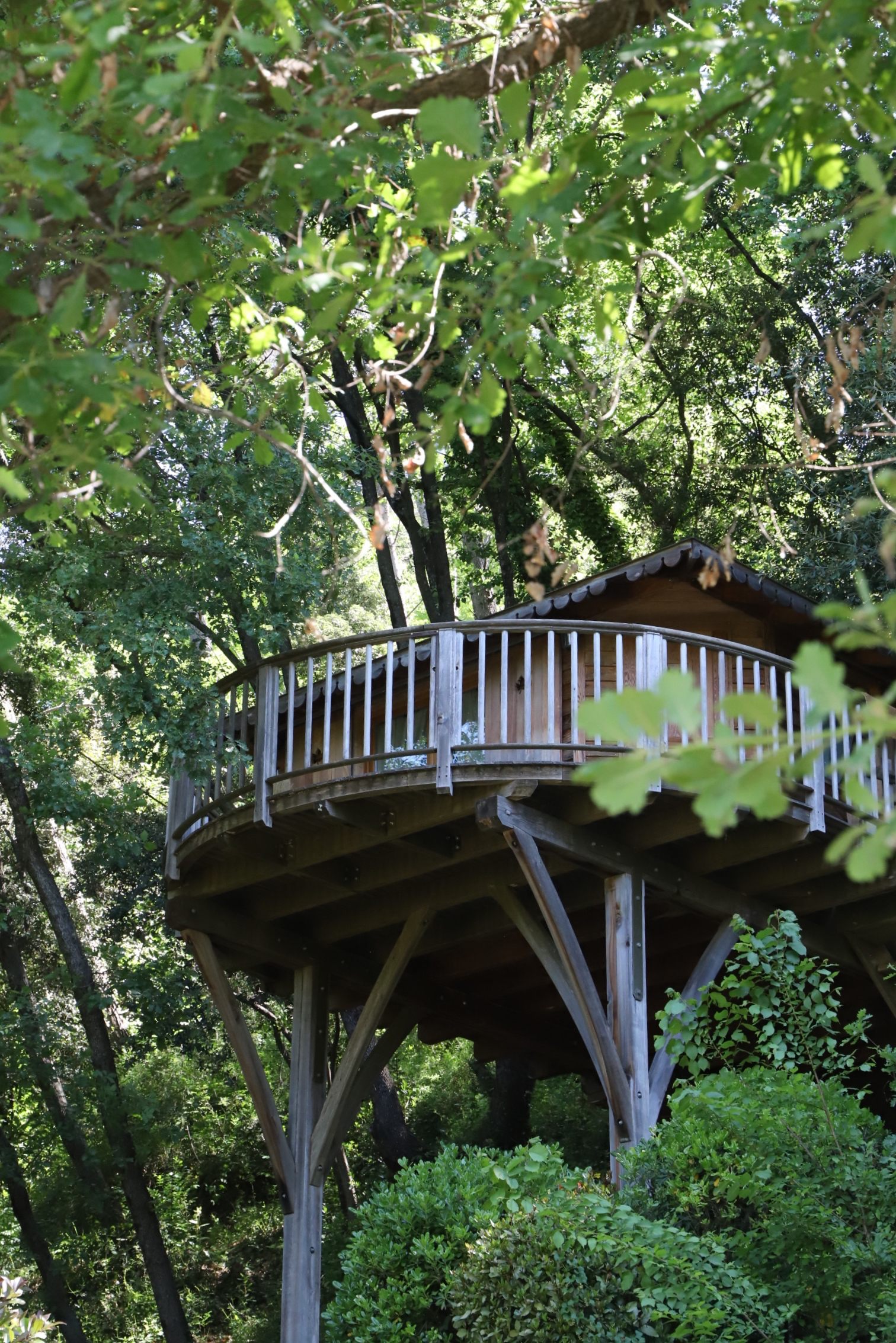 Bagheera — Cabane dans les arbres avec spa à Alpes-Maritimes à Saint-Auban — vue intérieure