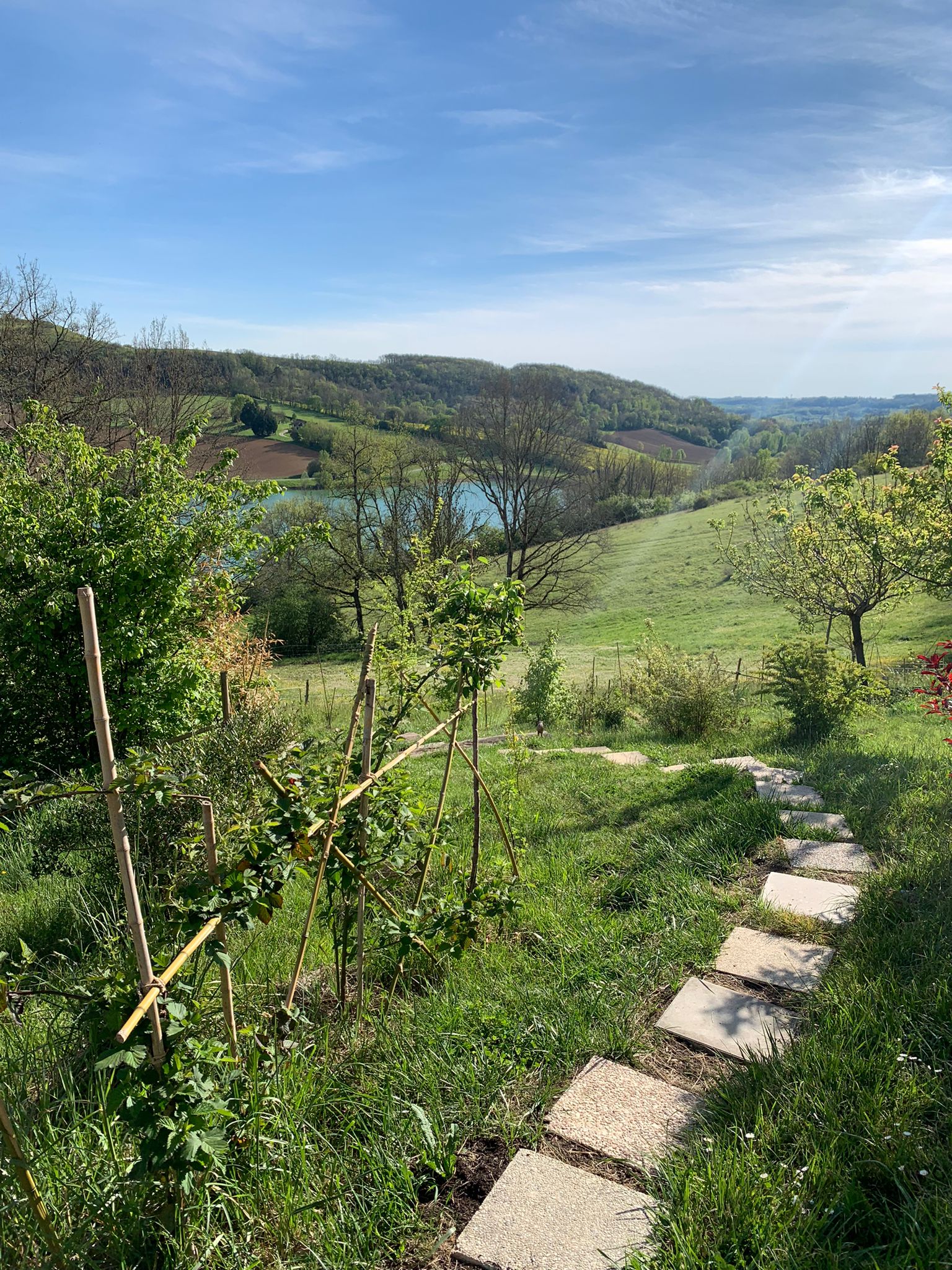 Colline sous les étoiles : une maison de hobbit en Aquitaine à Bajamont — espace de vie