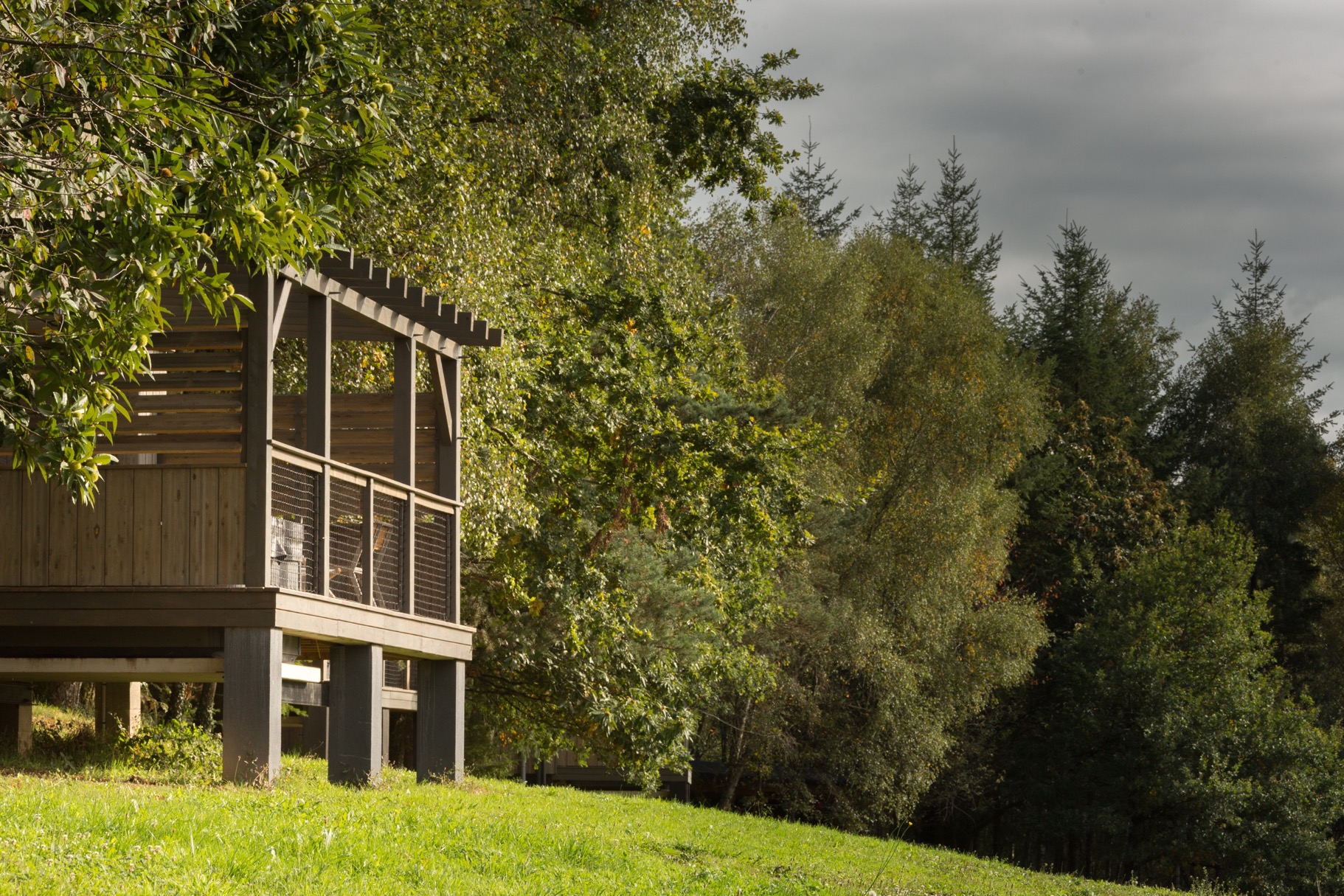 Lodge Spa Henry : une immersion dans la nature limousine à Palazinges — vue intérieure