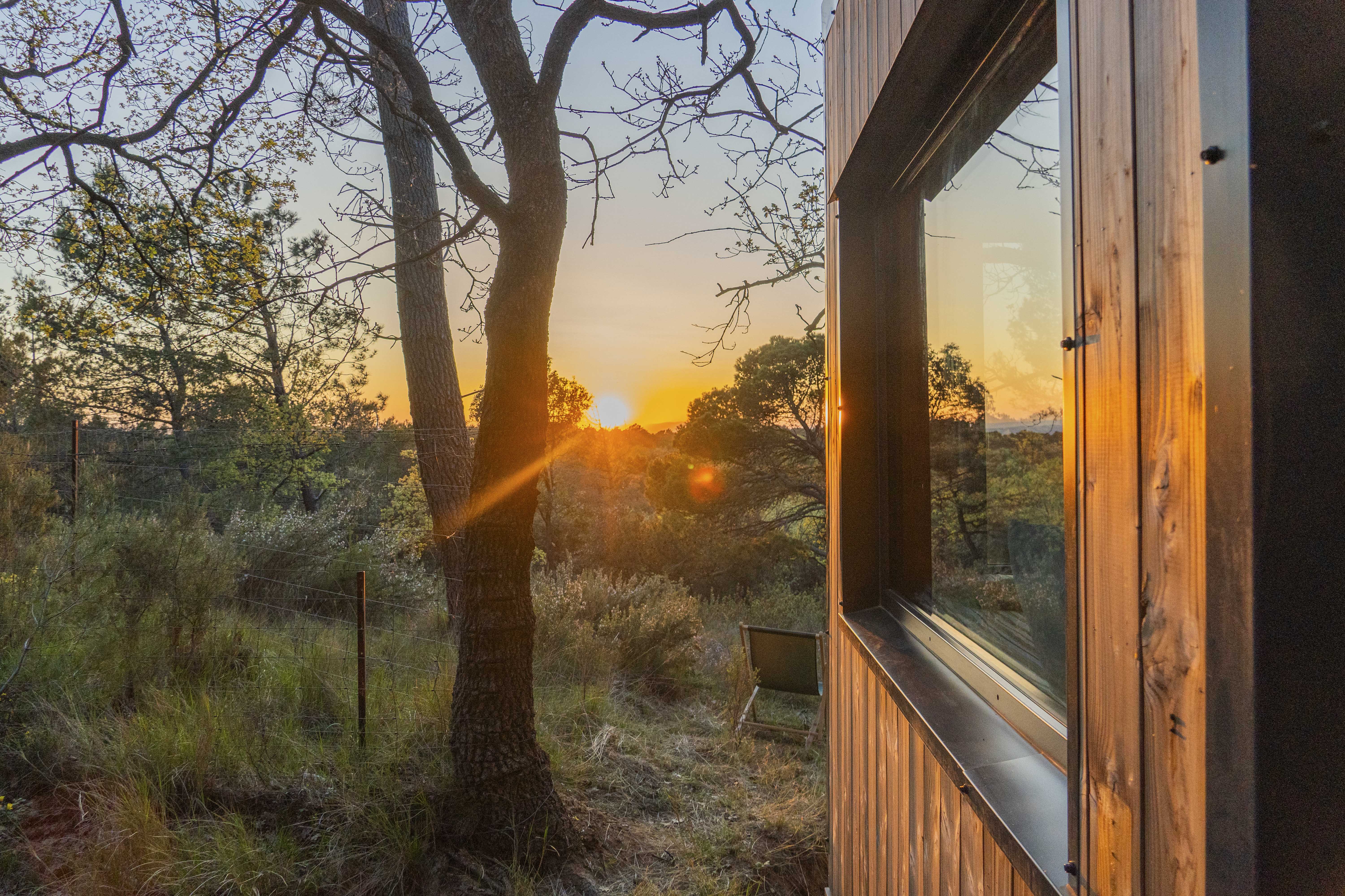 La Forêt Enchantée : une tiny house au cœur du Vaucluse à Mondragon — espace de vie