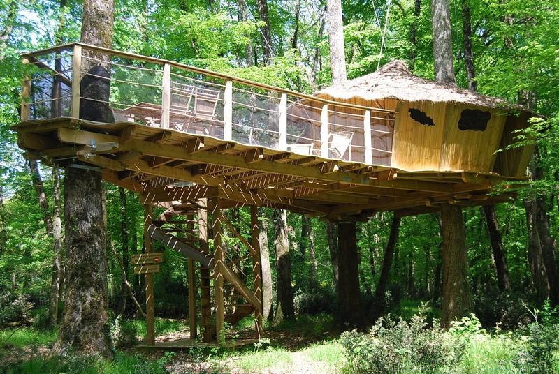 Cabane des Chimpanzés : une immersion dans les arbres à Magné — vue intérieure