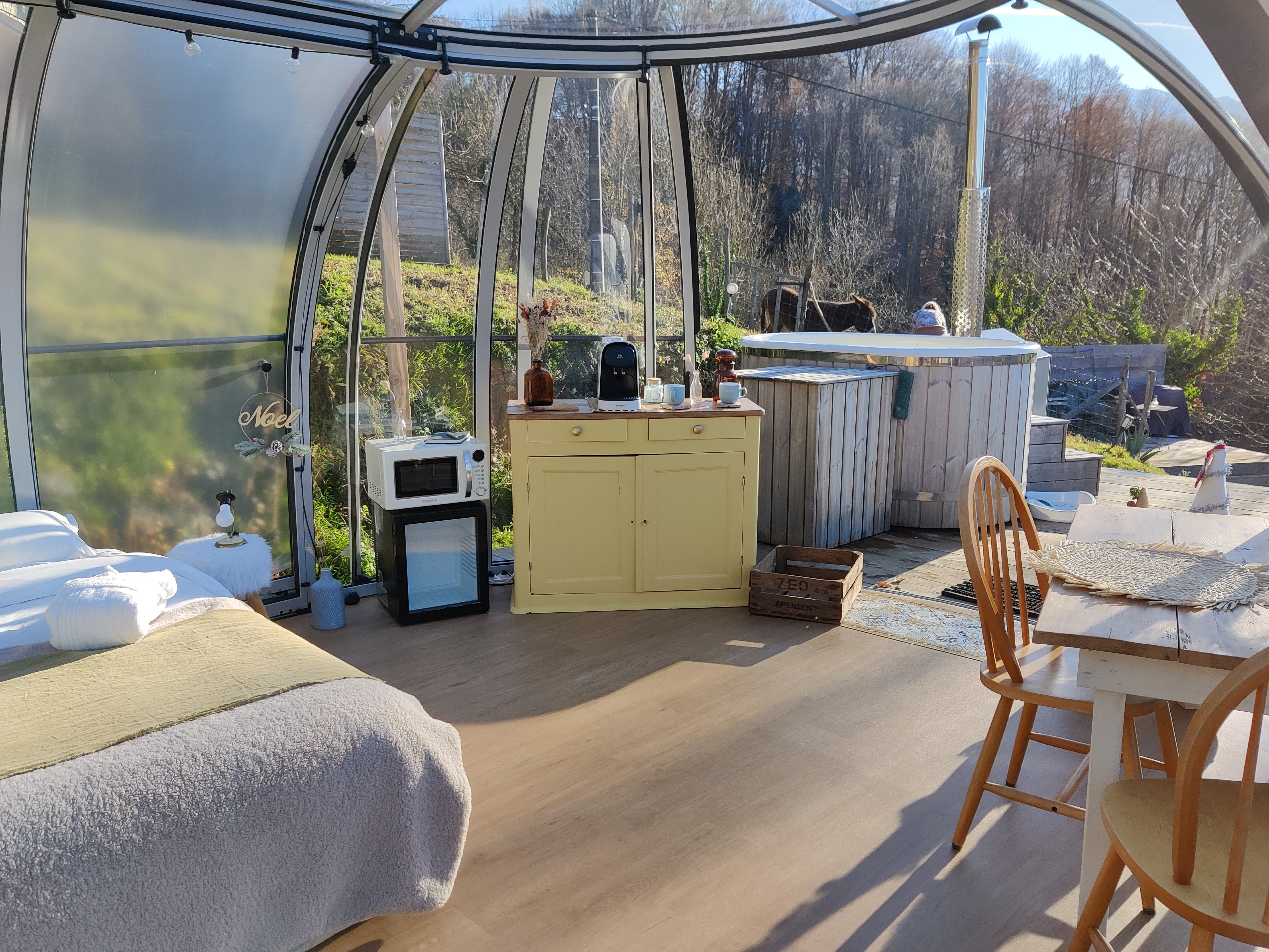La Canopée & Spa : un dôme enchanteur au cœur des Pyrénées à Gerde — vue depuis la terrasse