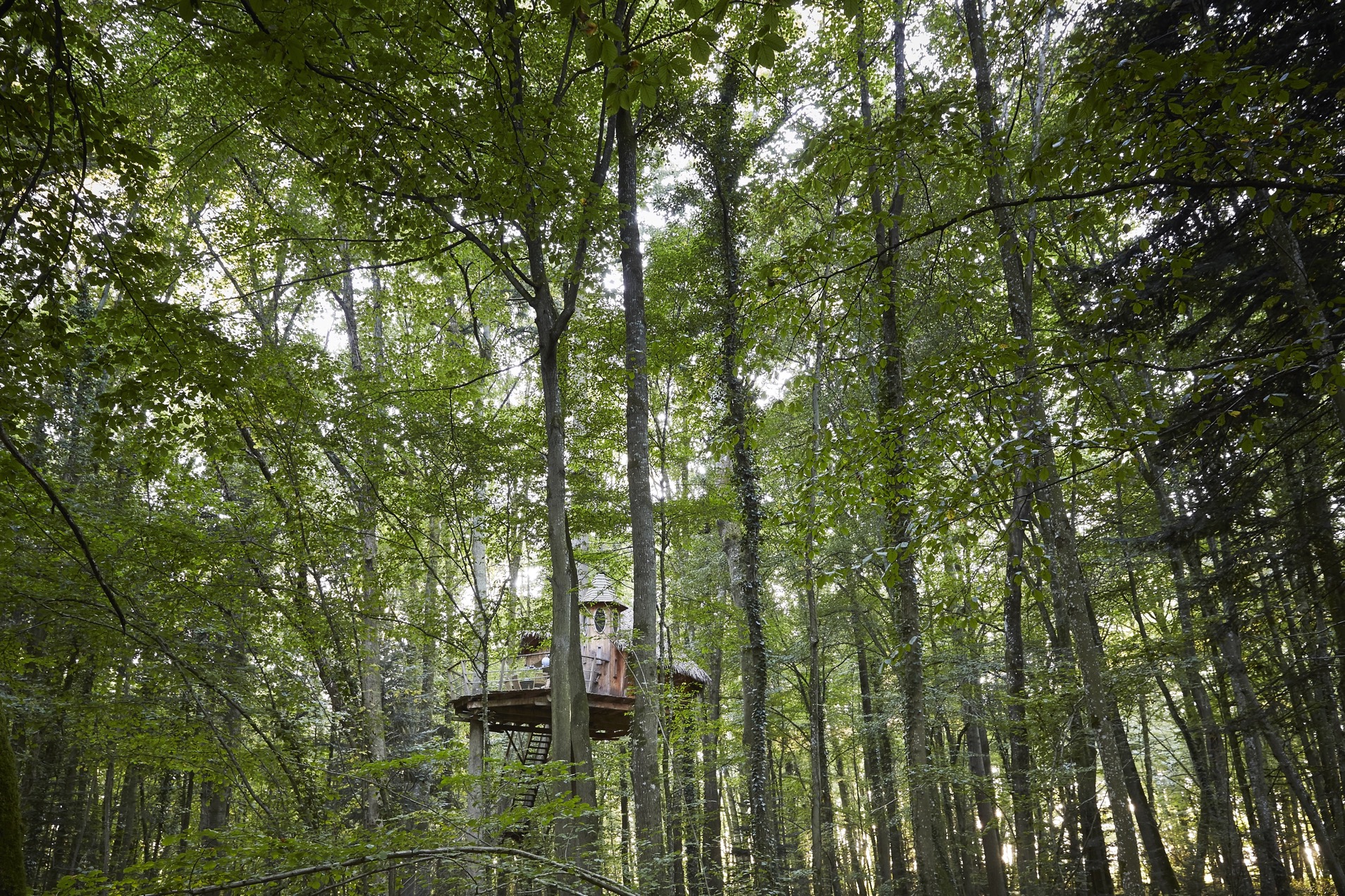 Echauguette : une cabane perchée au cœur de la nature normande