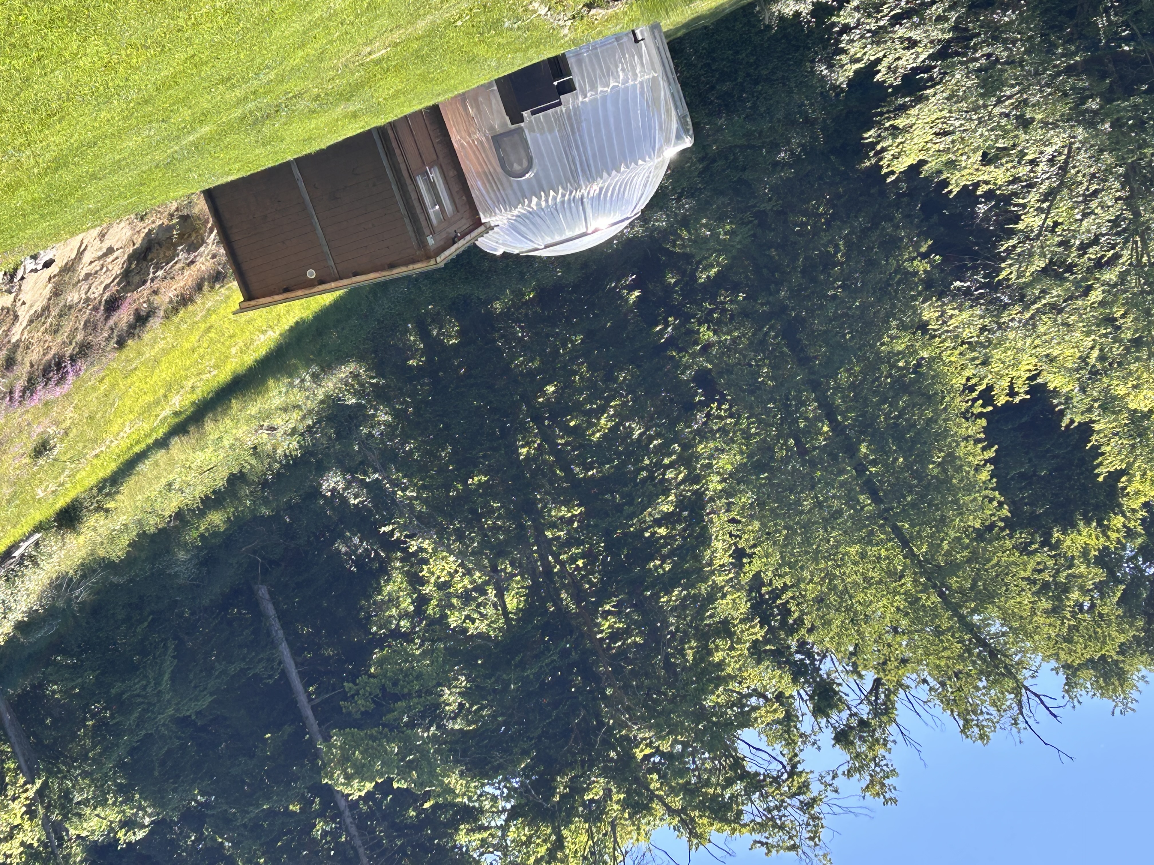 Bulle DODO LODGE - 2