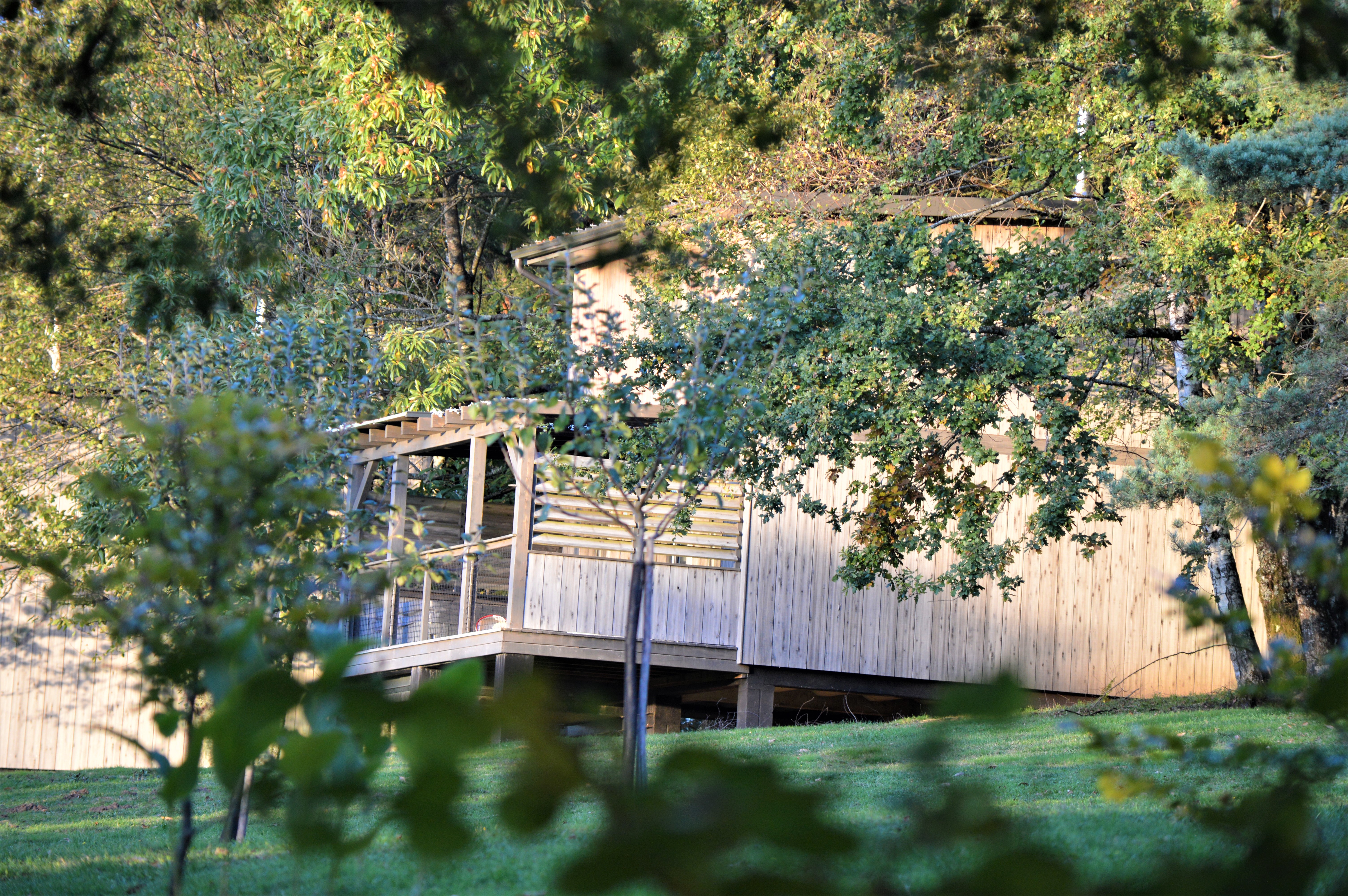 Lodge Spa Marcel : une cabane immersive en Limousin à Palazinges — détail architectural