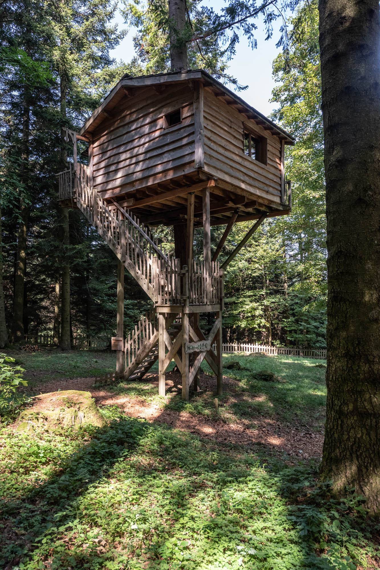 Cabane Marmotte : une expérience suspendue dans les arbres à Saint-Julien-Labrousse — chambre