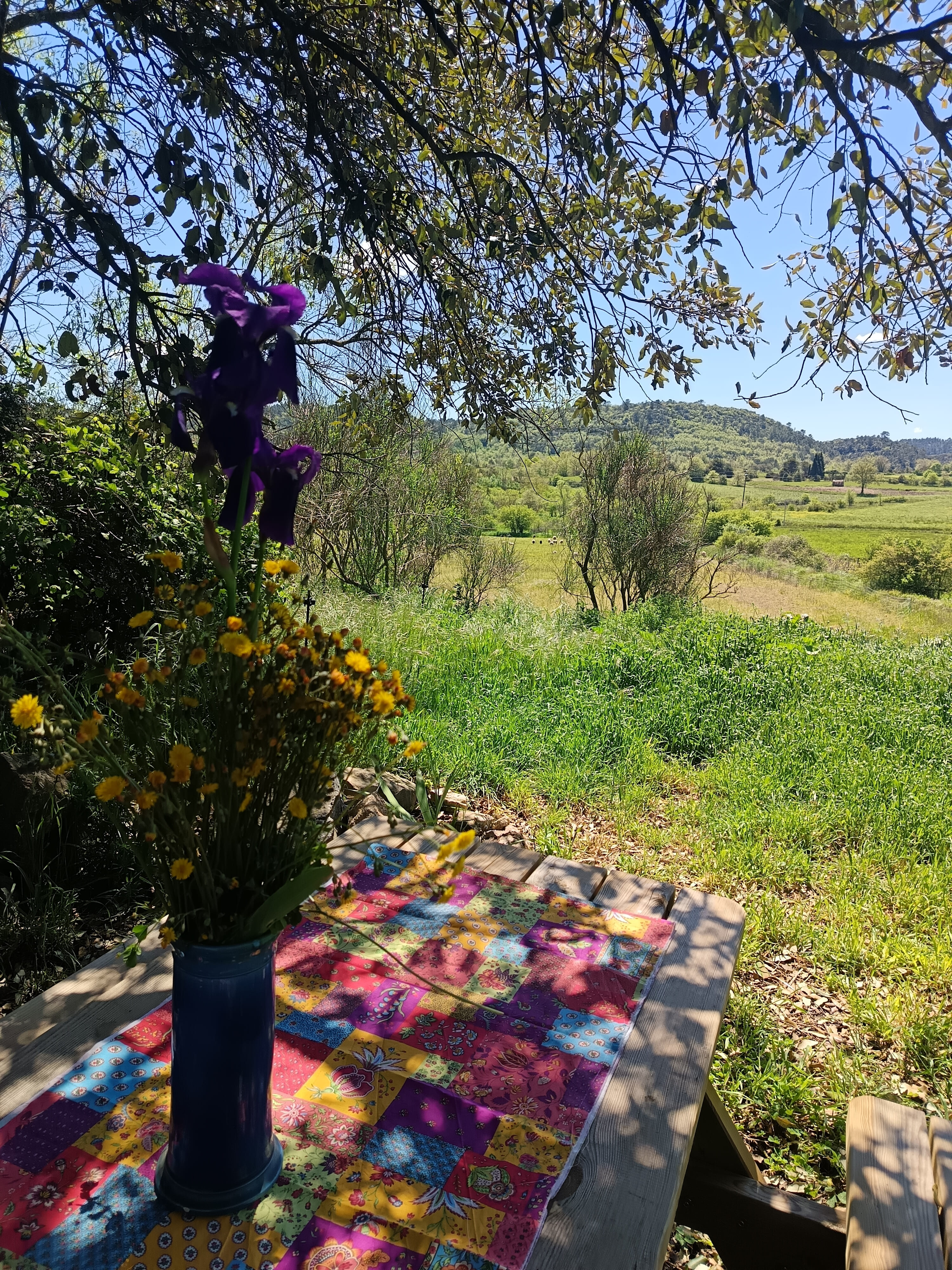 Yourte à la ferme des bréguières — Séjour avec vue panoramique à St Martin dans le Var à Saint-Martin-de-Pallières — vue depuis la terrasse