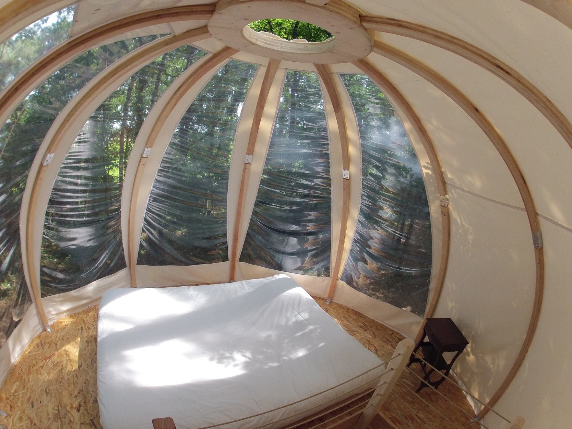 Bulle perchée — Nuit panoramique à 3m en Dordogne à Coursac — vue intérieure