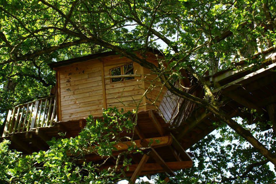Cabane des Lucioles — Nuit perchée avec spa à Ille-et-Vilaine