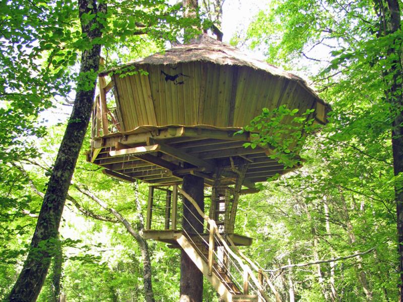 Cabane des Robinsons : une évasion perchée en Poitou-Charentes