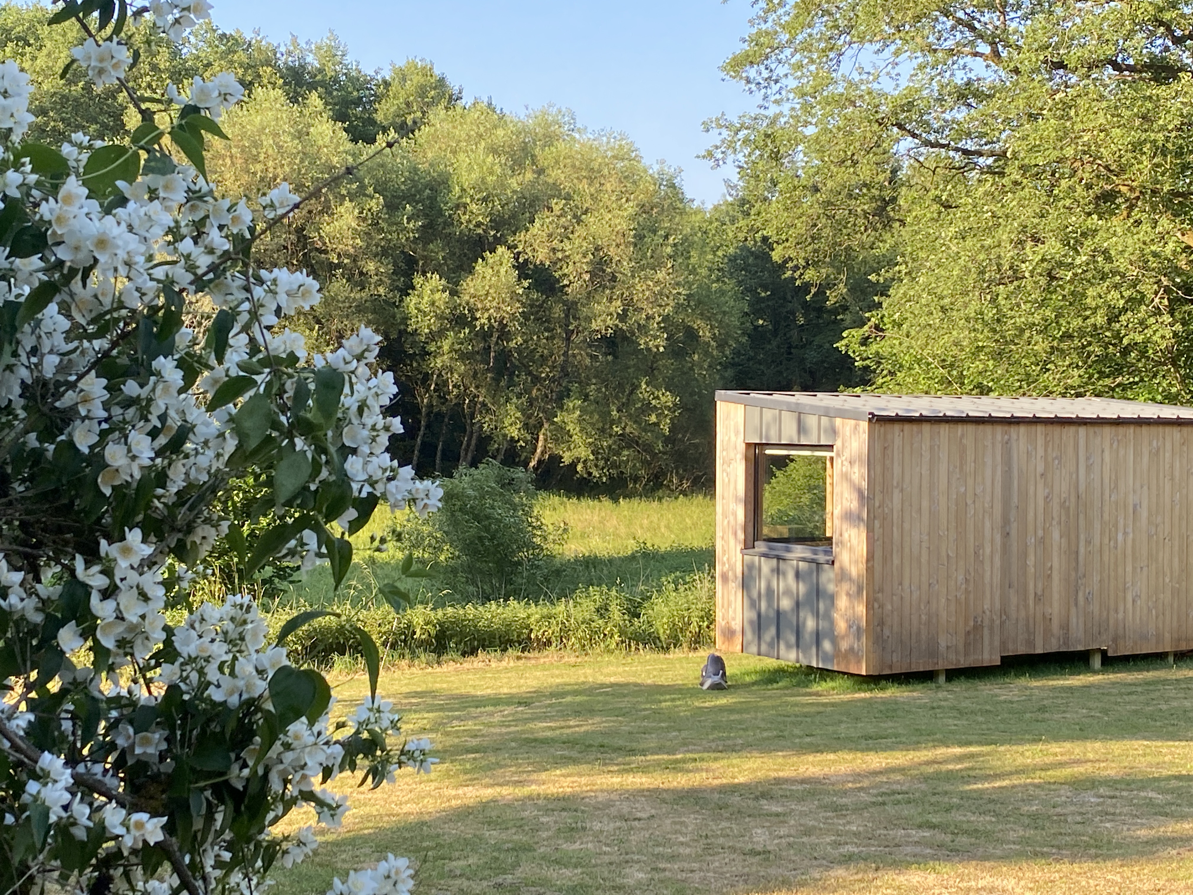 L’Escargoterie de la Forge : une immersion champêtre en Tiny House à Uzemain — espace de vie