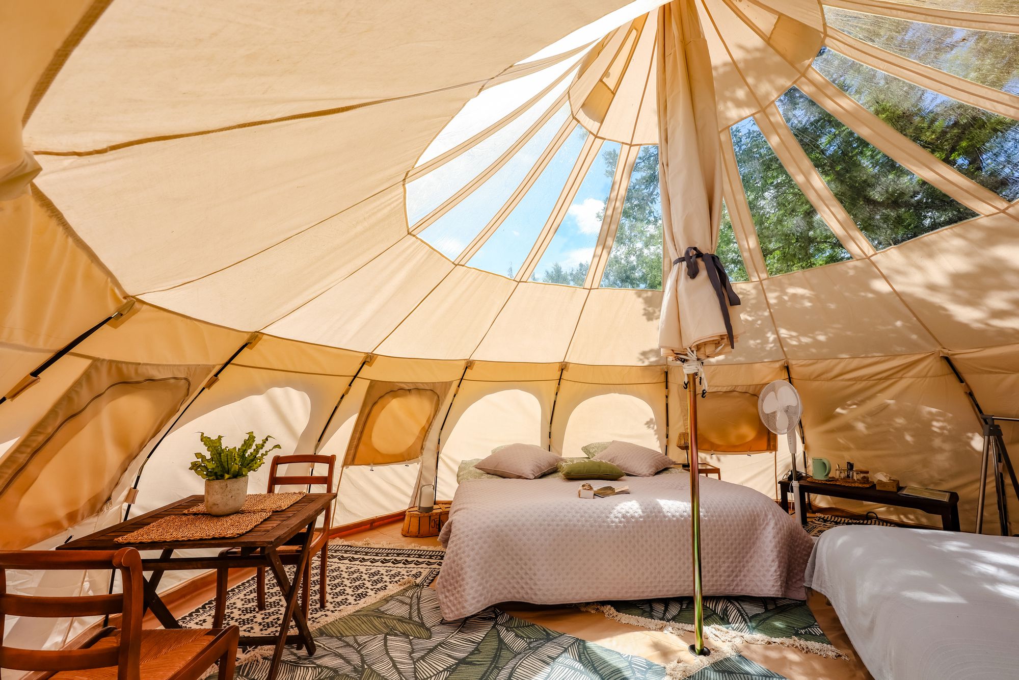 La Canopée : une expérience immersive en pleine nature à Busque — vue intérieure