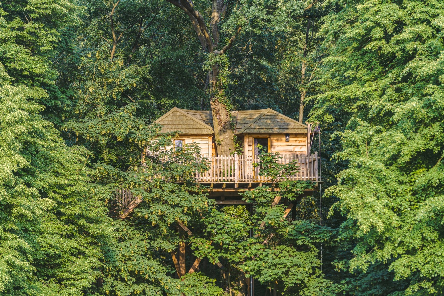 Cabane Spa Cachette : une évasion dans les arbres en Picardie à Raray — vue intérieure