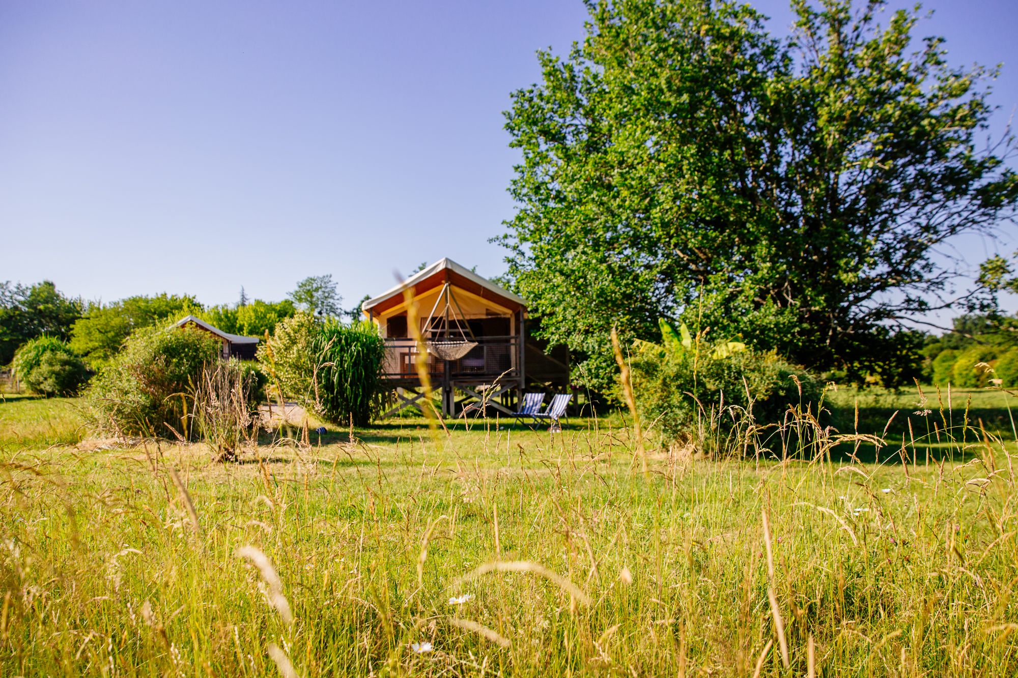 Vivez l'expérience d'un lodge safari en Aquitaine à Le Nizan — vue intérieure