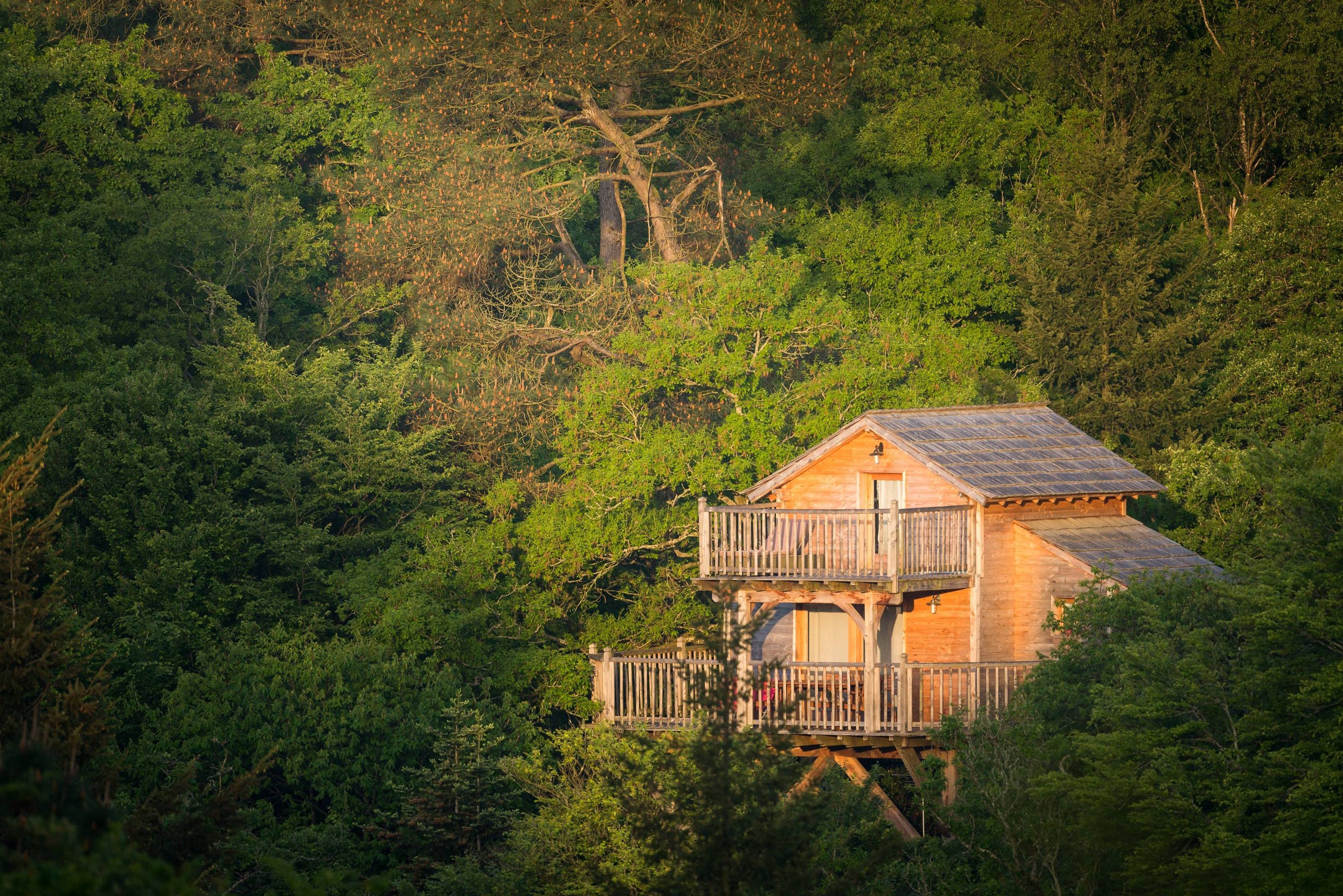 La Cabane Canopée Lodge : une expérience suspendue en Bretagne