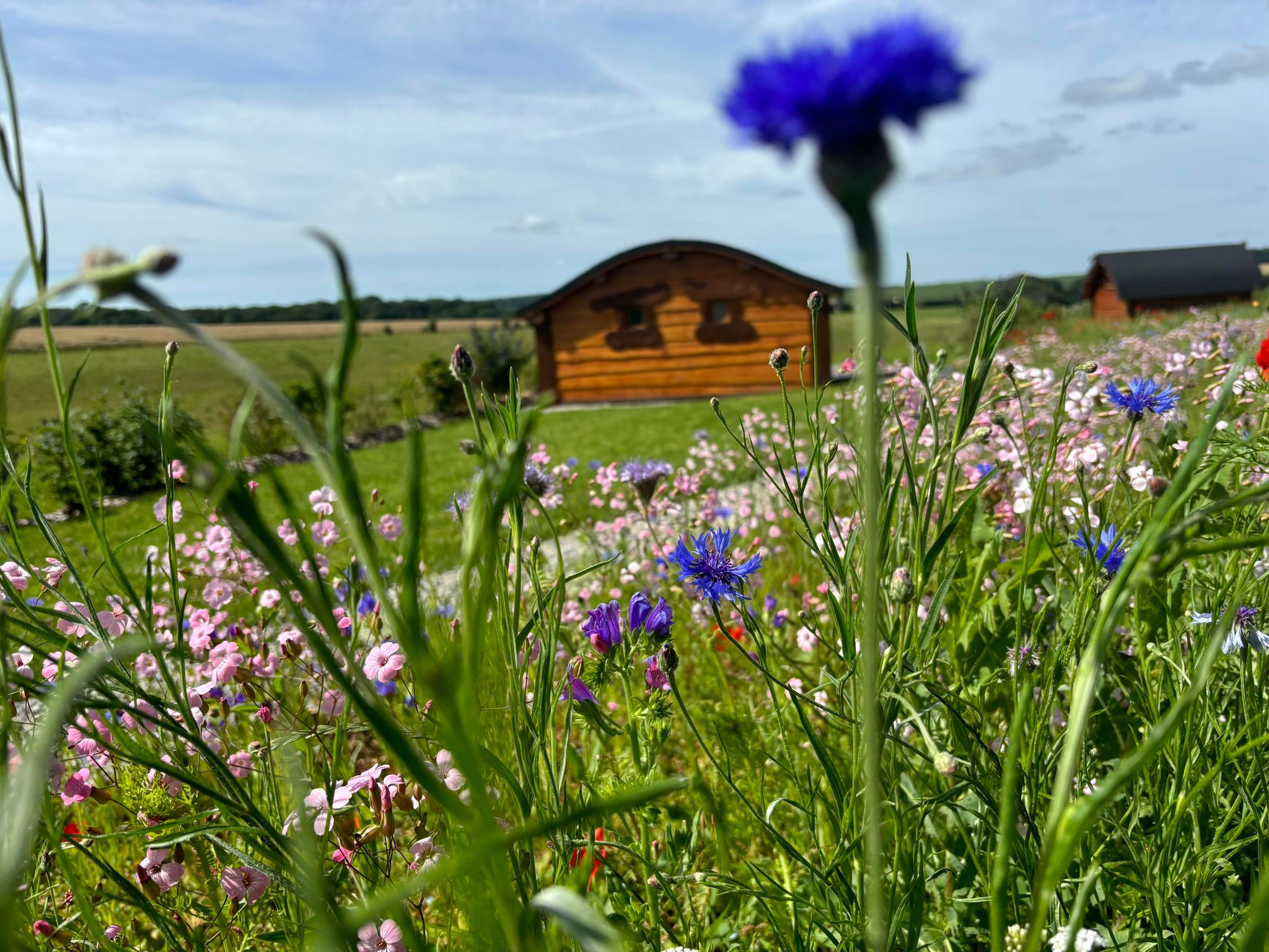 La Cabane Enchantée & Spa : une évasion sensorielle en pleine nature