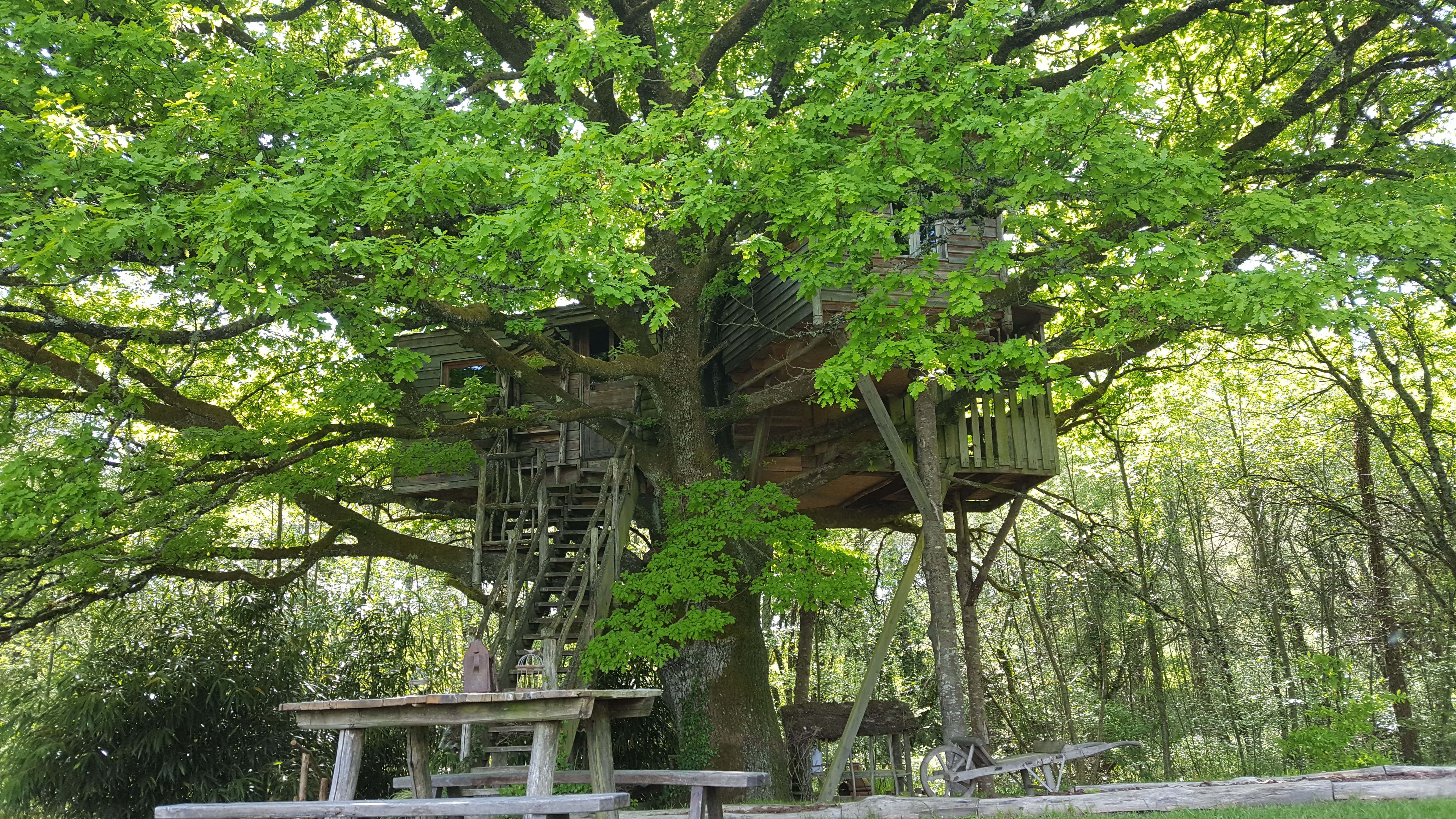 La cabane Peyrade — Nuit perchée à 6m dans les arbres en Corrèze