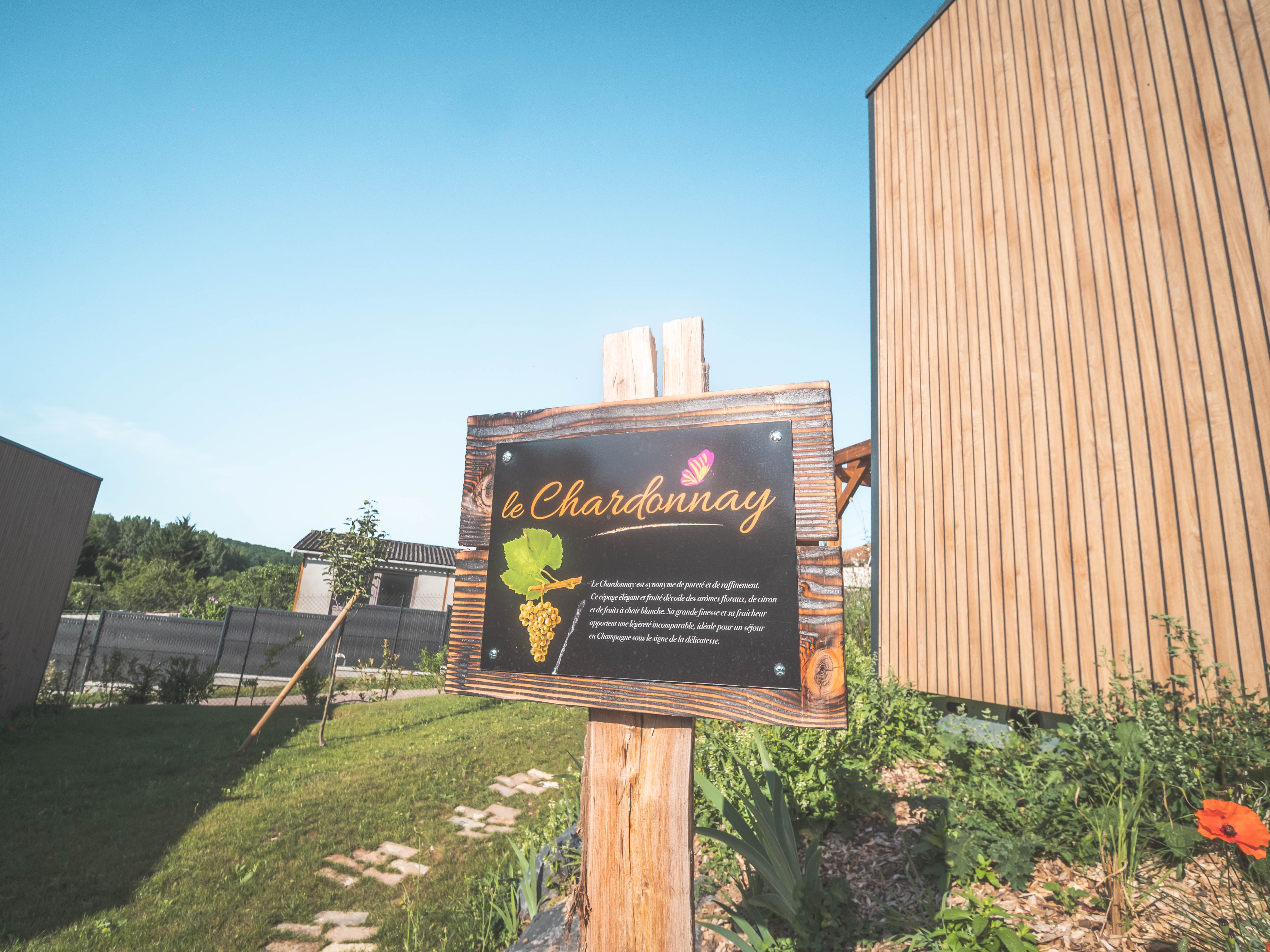 Ecolodge Le Chardonnay — Séjour relaxant avec spa à Aube à Dolancourt — salle de bain
