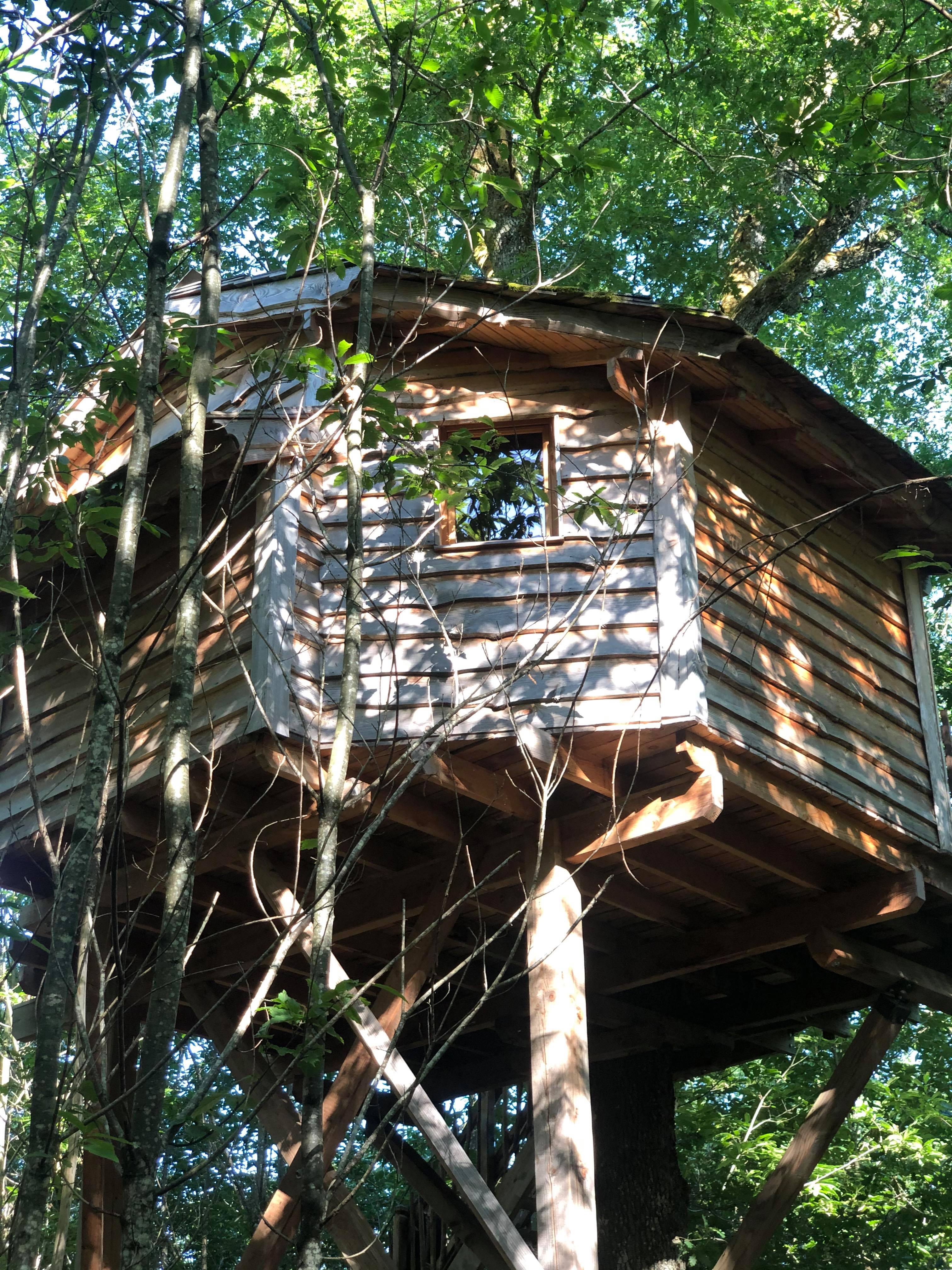 Photo 5/9 — Cabane dans les arbres « Cabane Ecureuil — Nuit perchée à 8m dans les arbres en Dordogne » à Alles-sur-Dordogne…