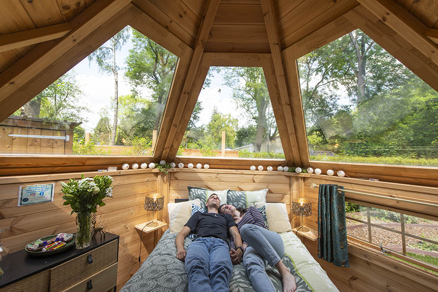 Évasion étoilée : la bulle aux étoiles et son spa en Picardie à Gouvieux — vue depuis la terrasse